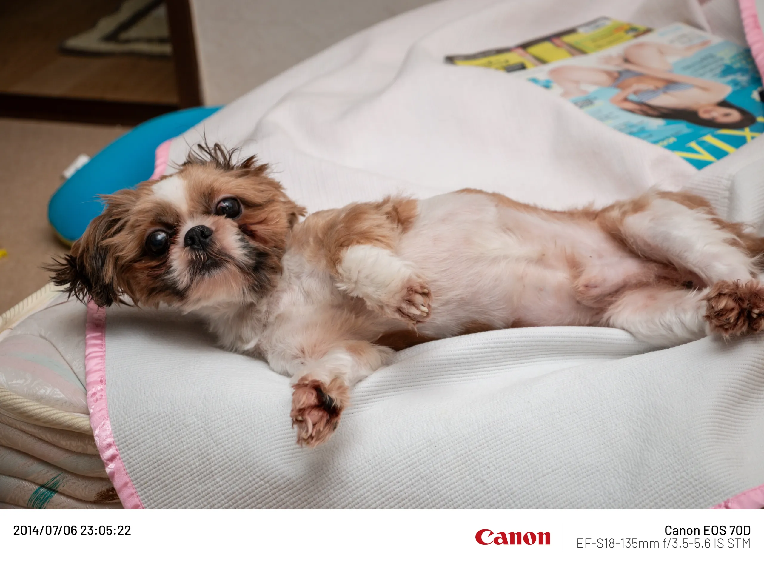 20140706-012.webp