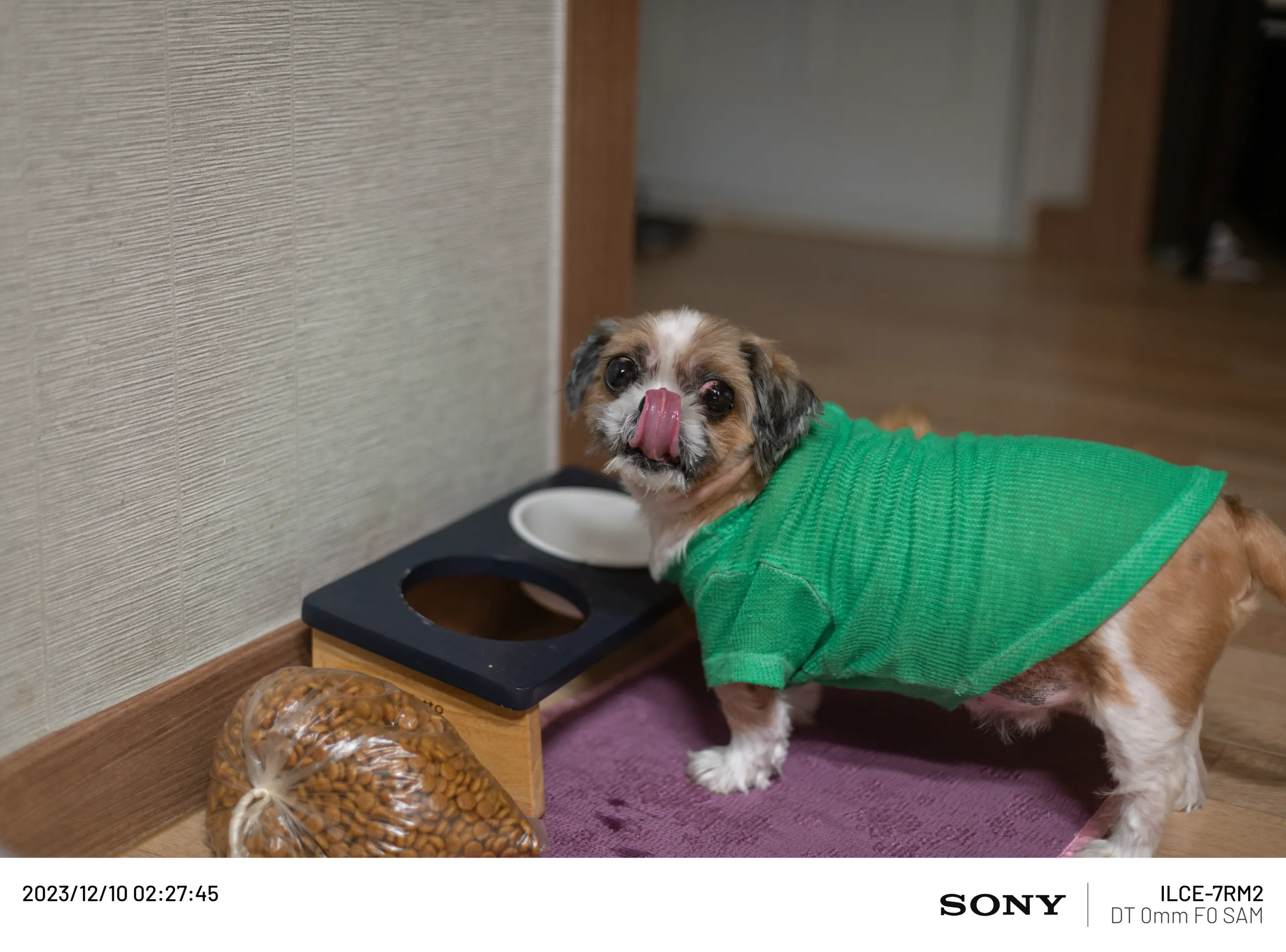 20231210-DSC06582.webp
