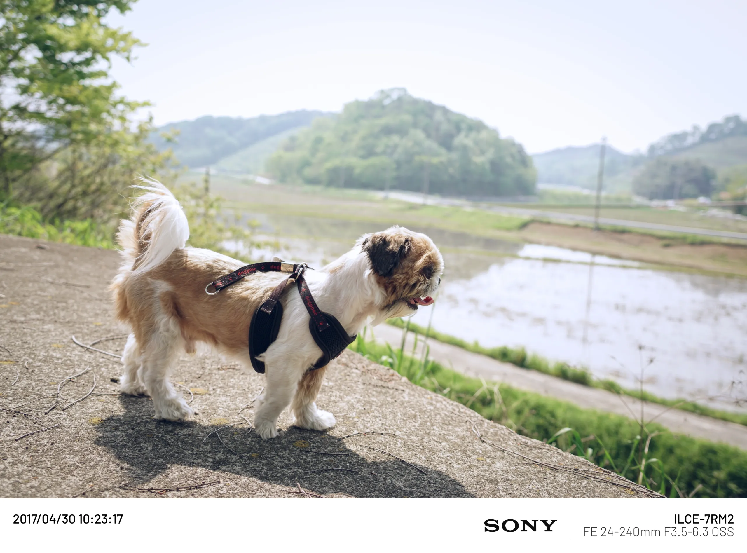 20170429 (1).webp