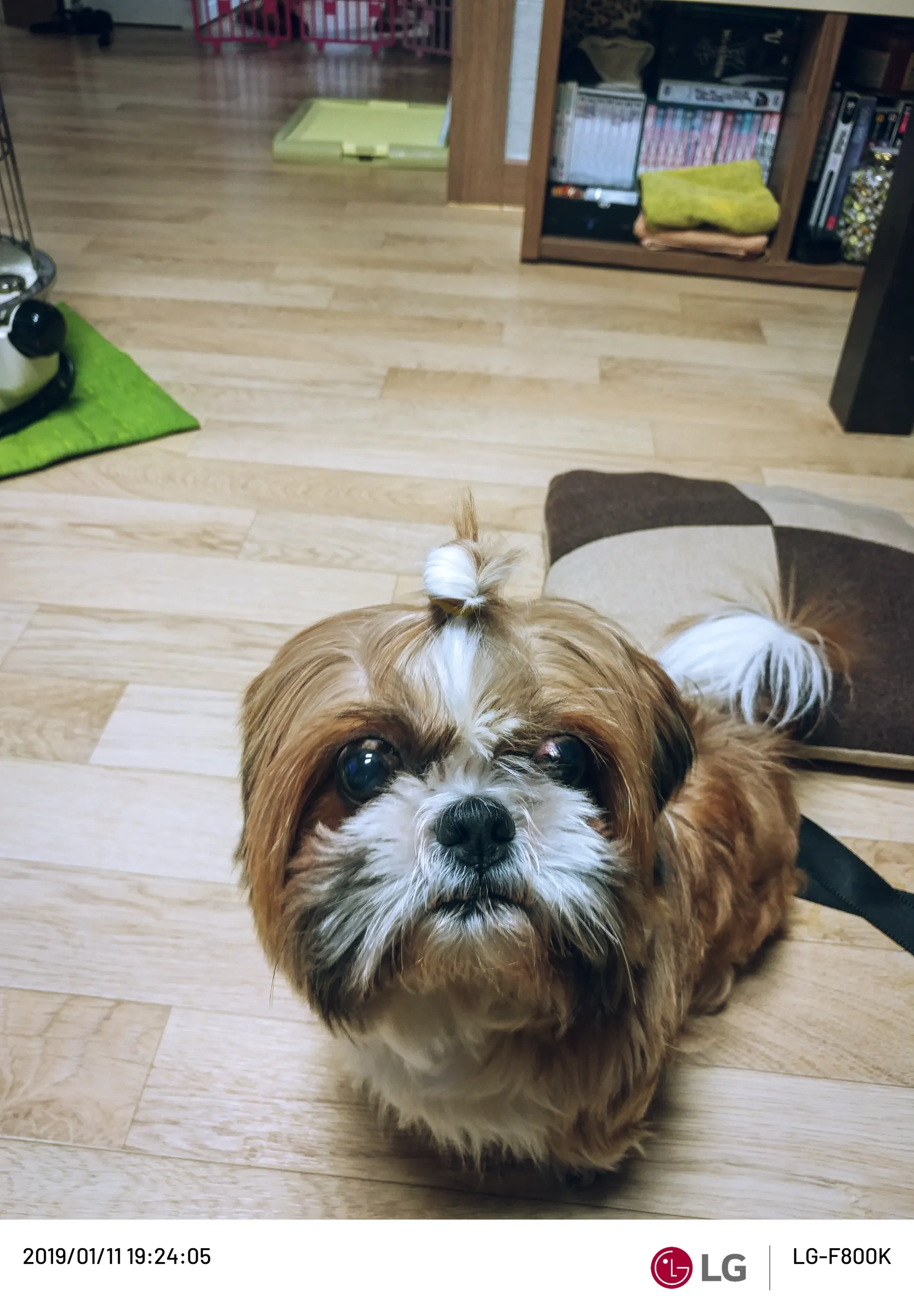 20190111-20190111_192405.webp