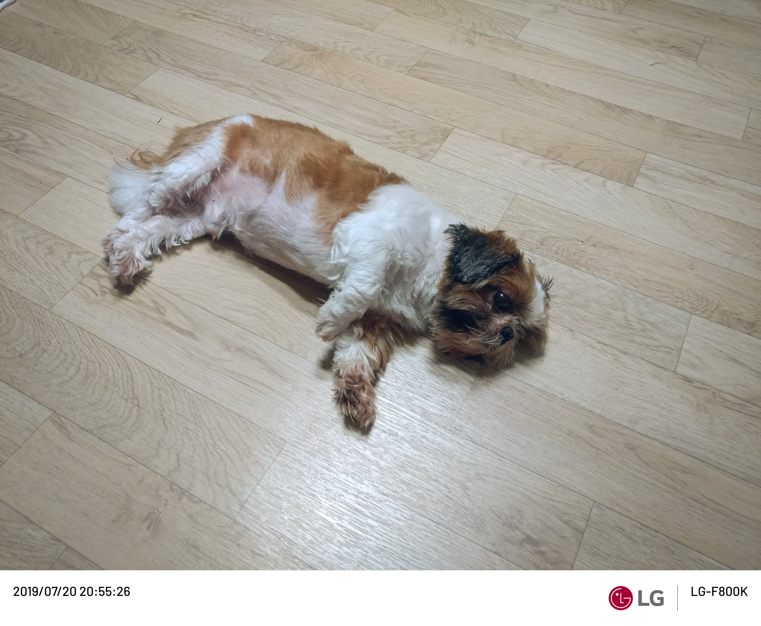 20190720-20190720_205526.webp