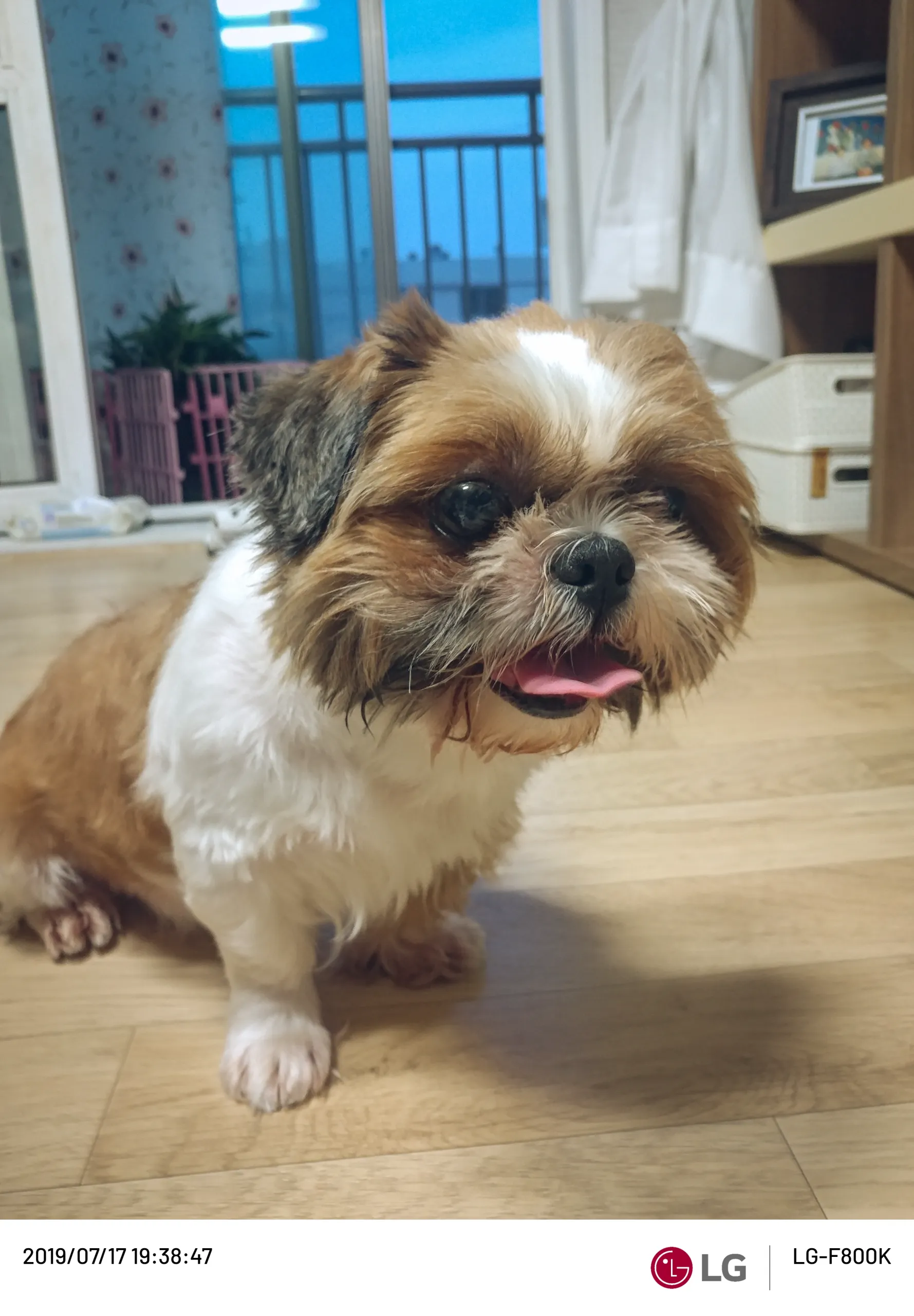 20190717-20190717_193847.webp