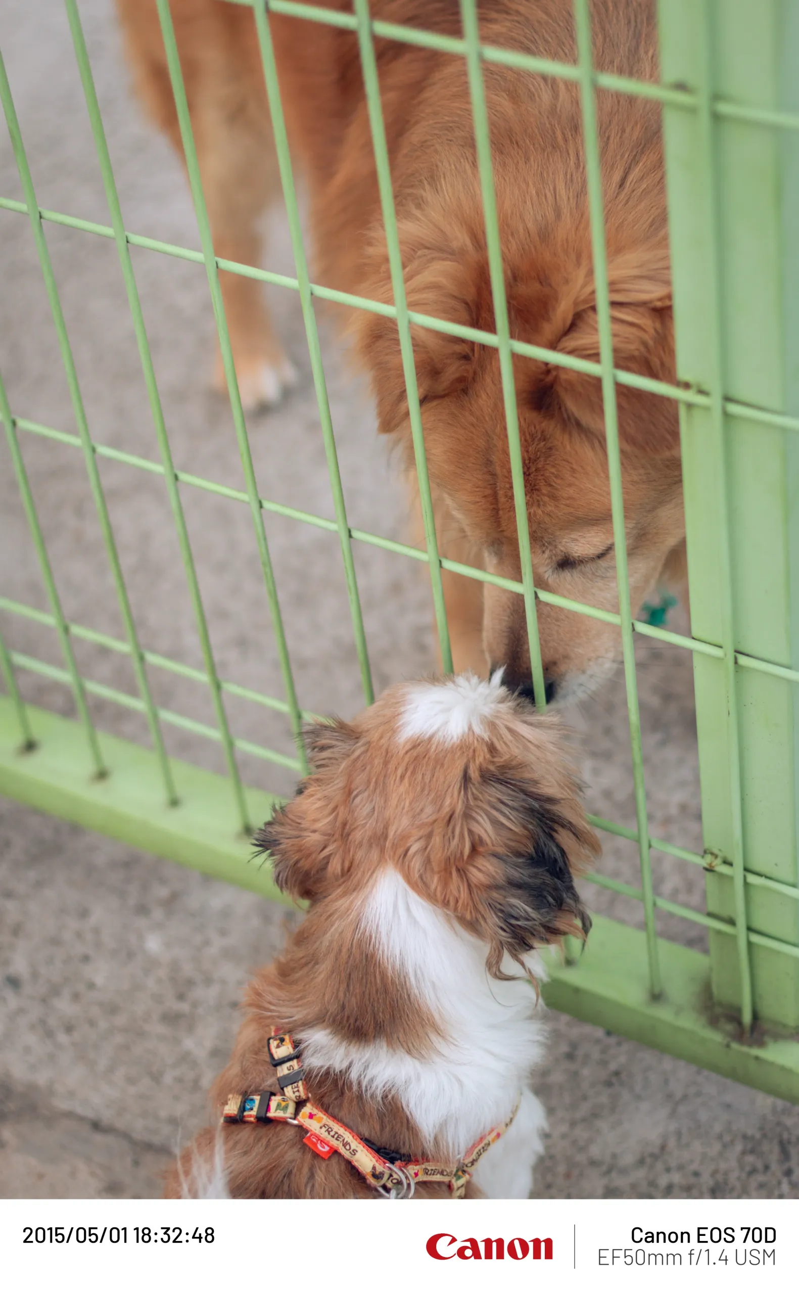 20150501-022.webp