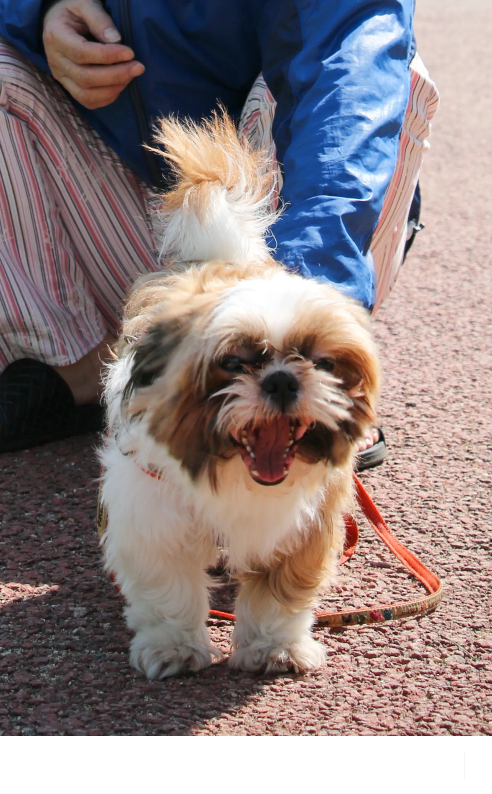 20140506 (18).webp