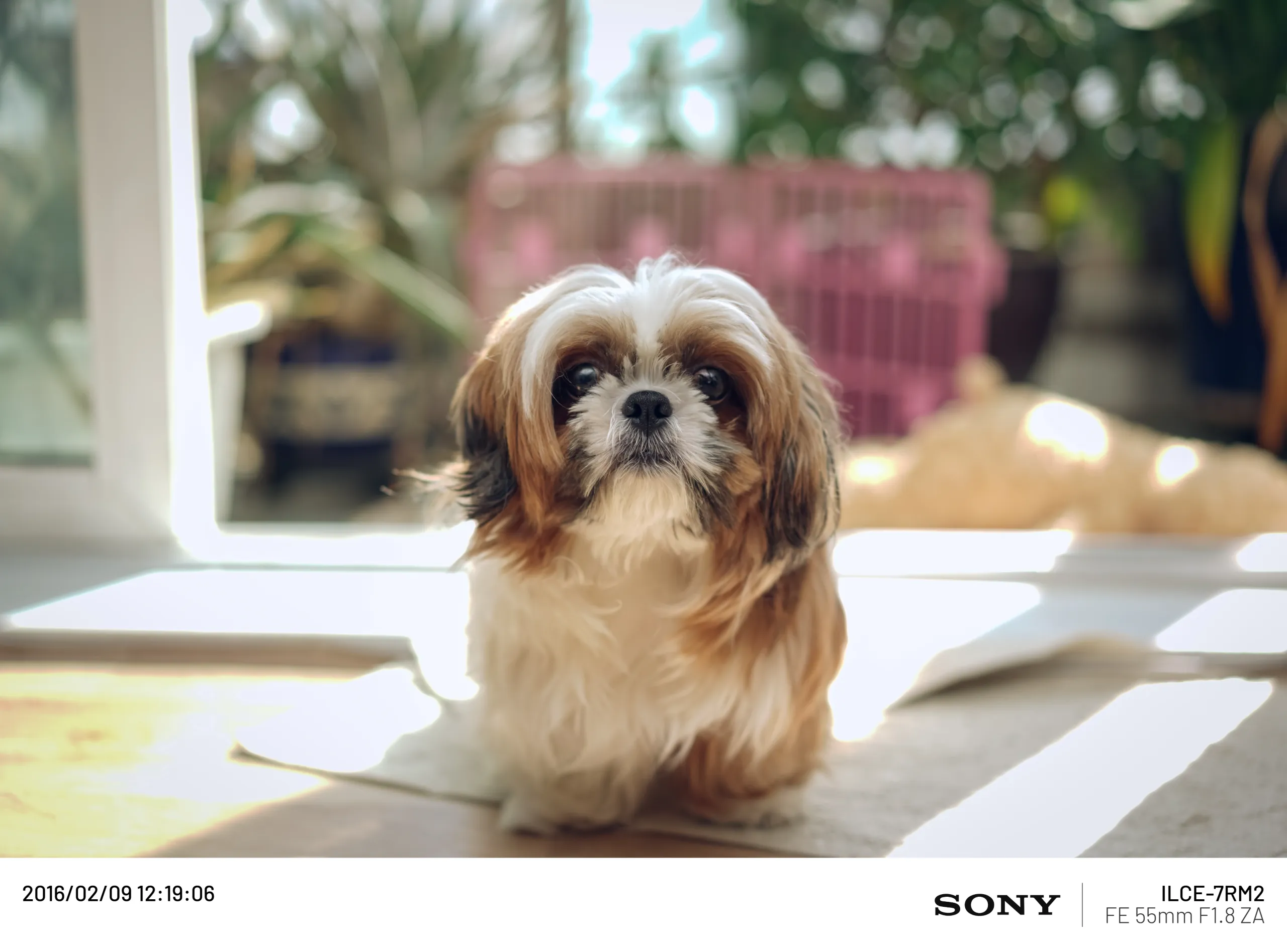 20160209-010.webp