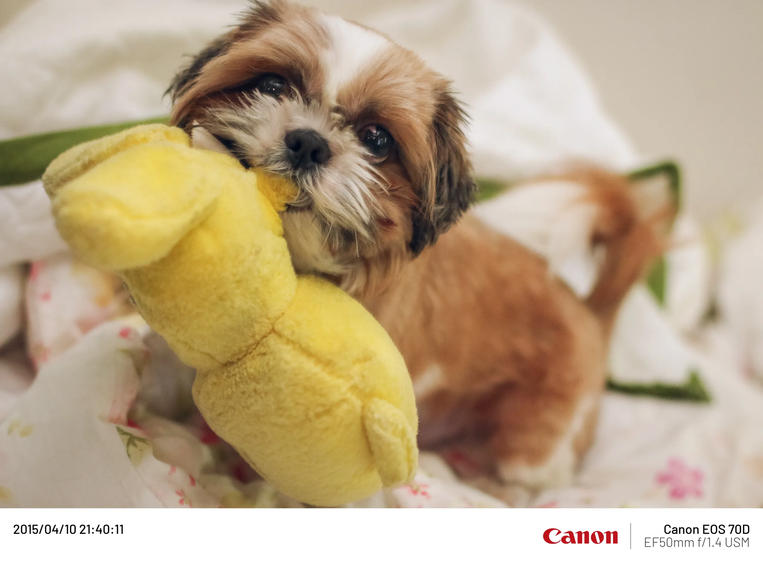 20150410-006.webp