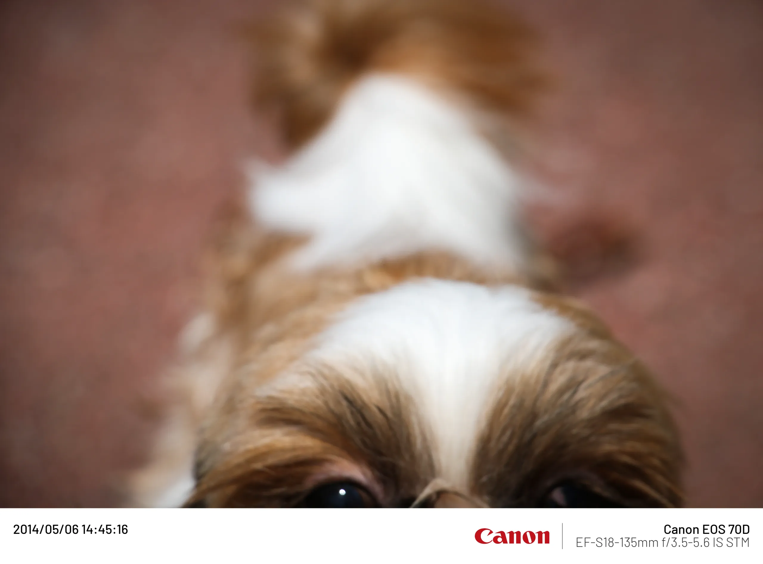 20140506 (15).webp