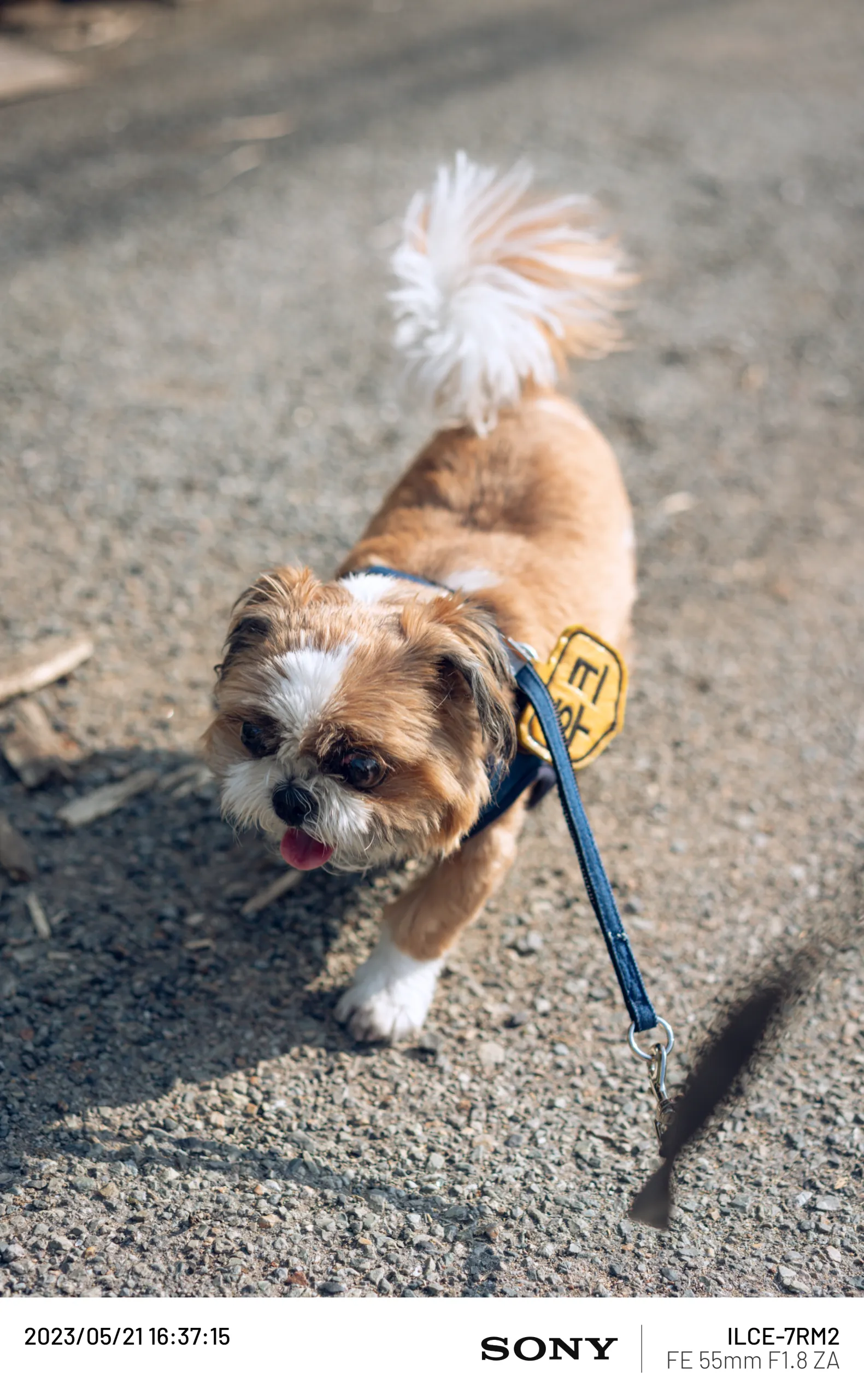 20230521-DSC04855.webp