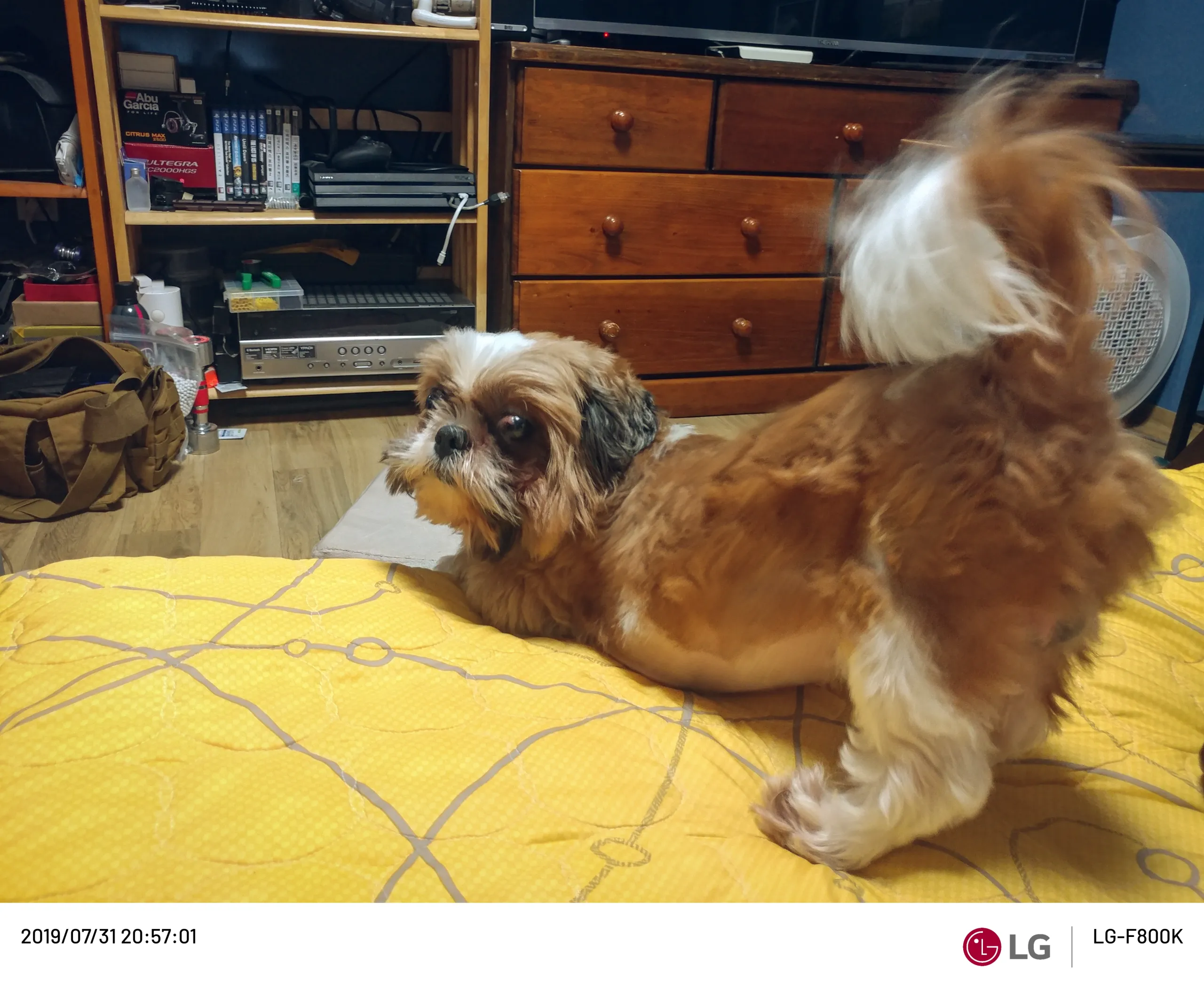 20190731-20190731_205701.webp