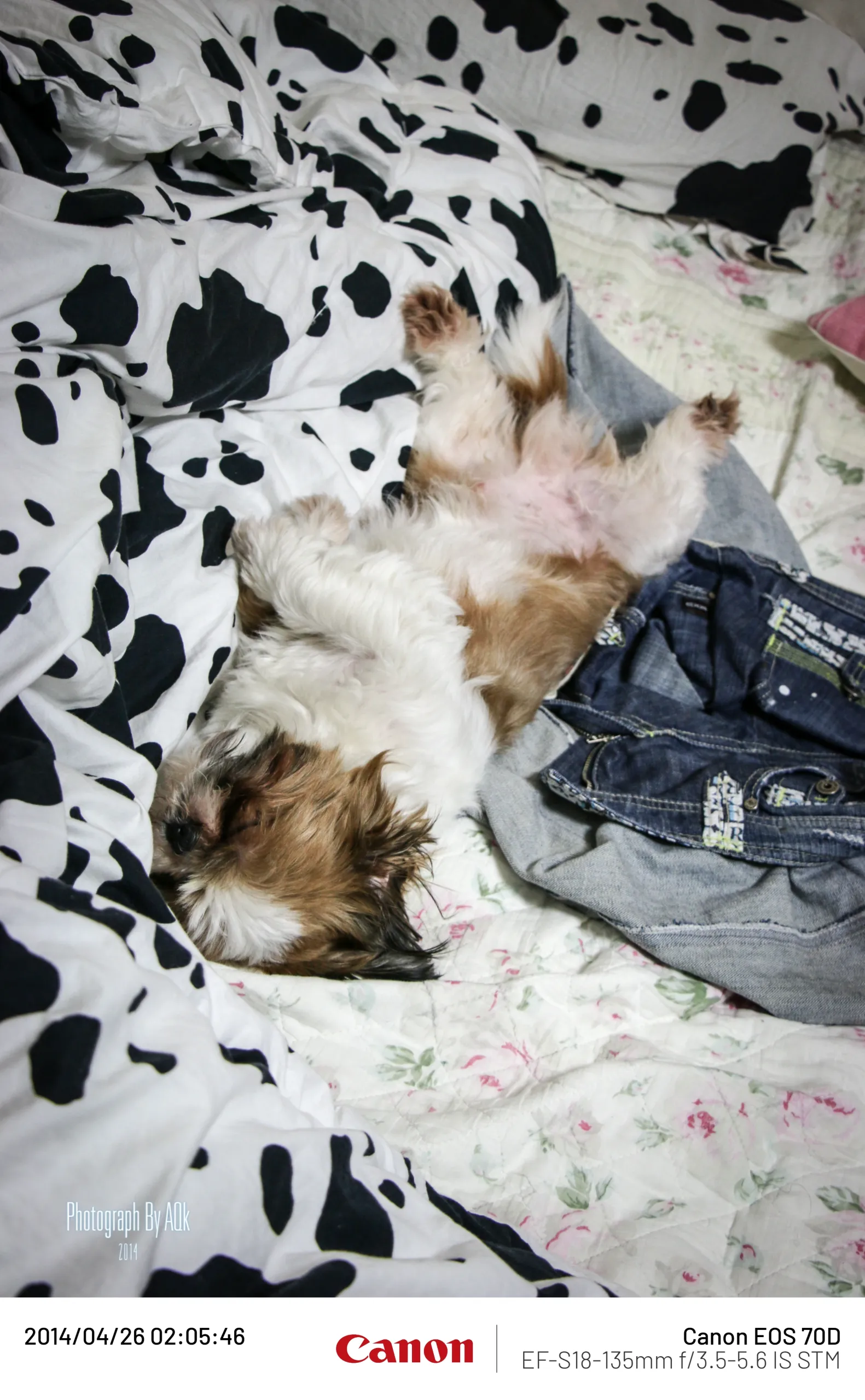 20140426-1.webp
