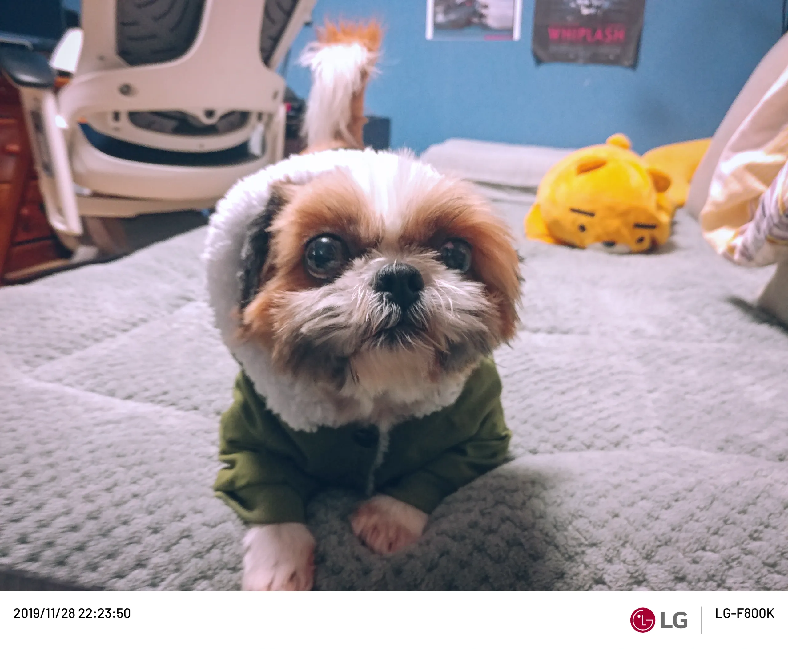 20191128-20191128_222350.webp