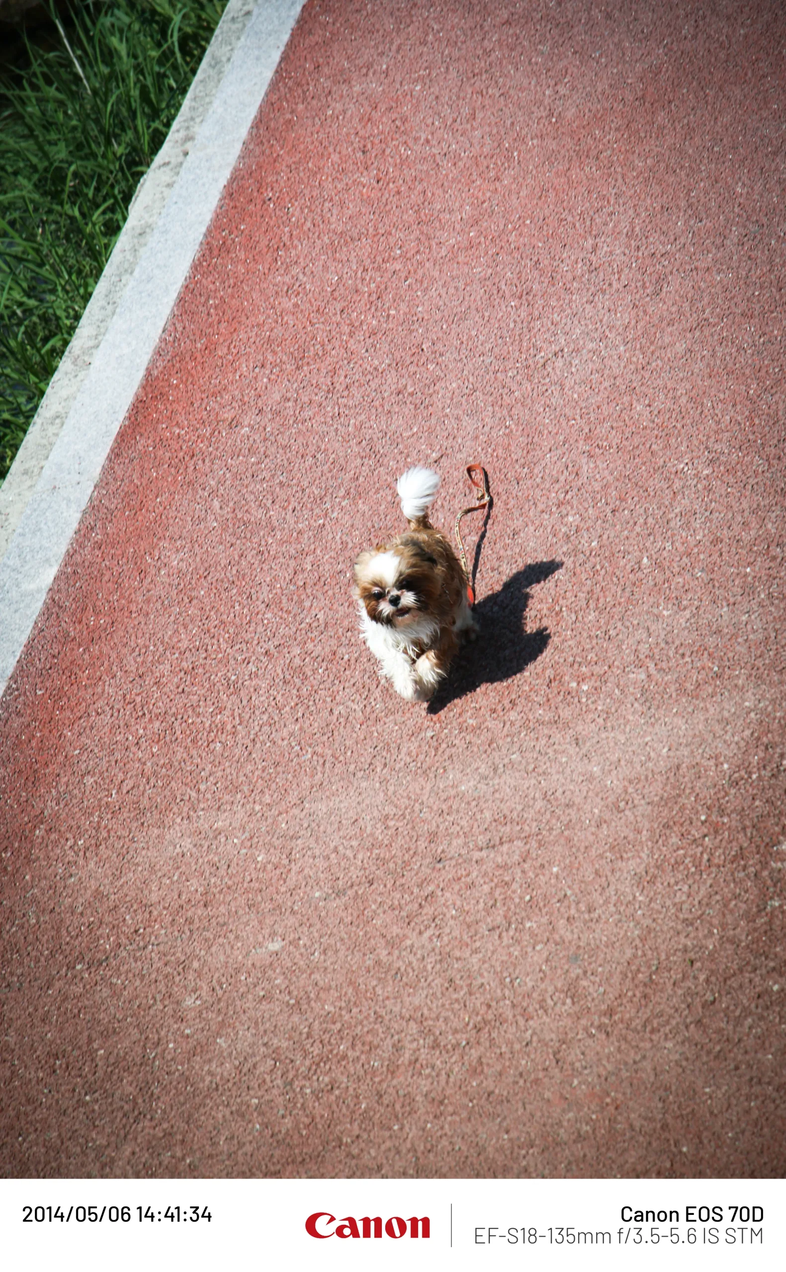 20140506 (13).webp