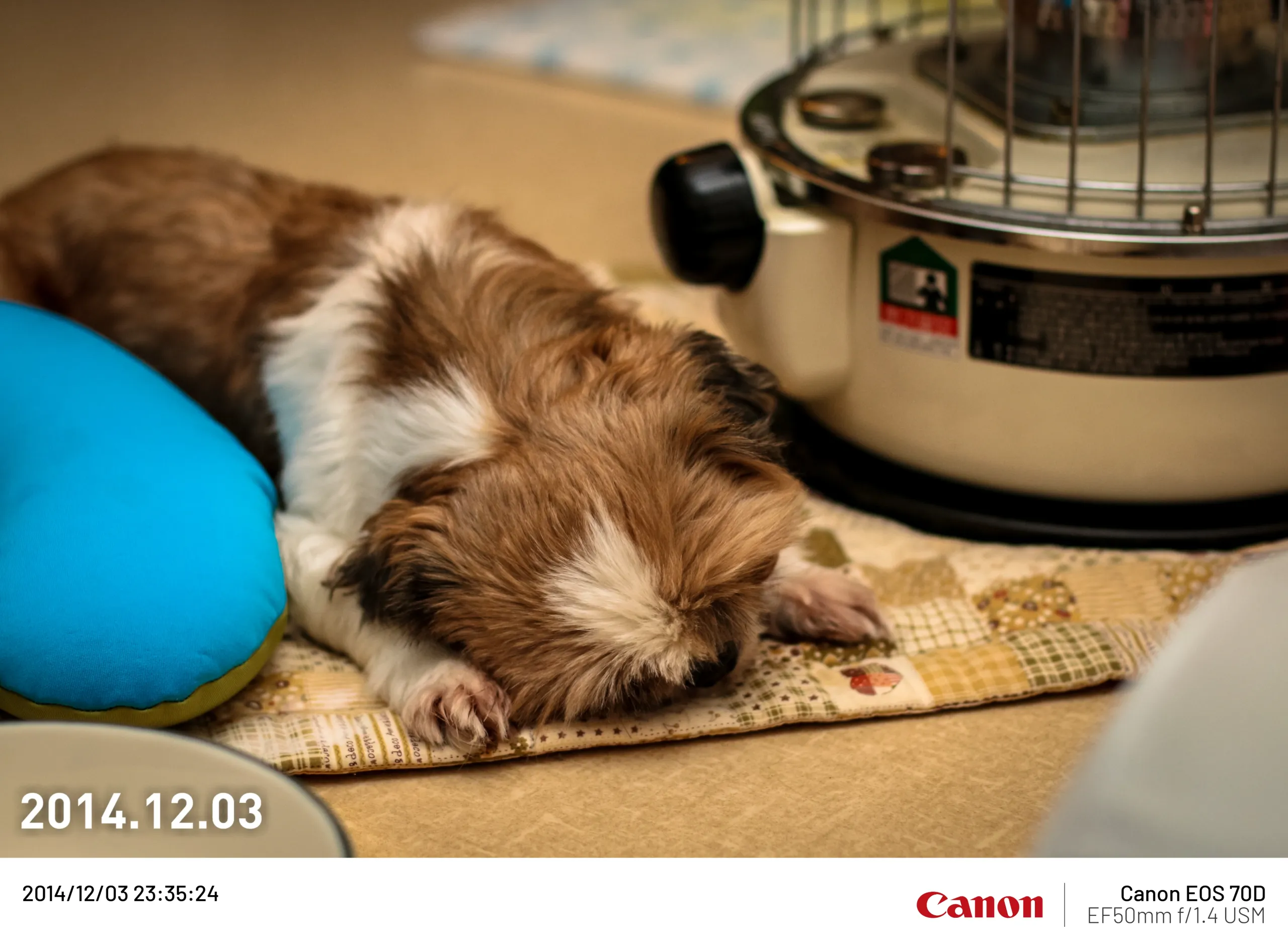 20141203-3.webp