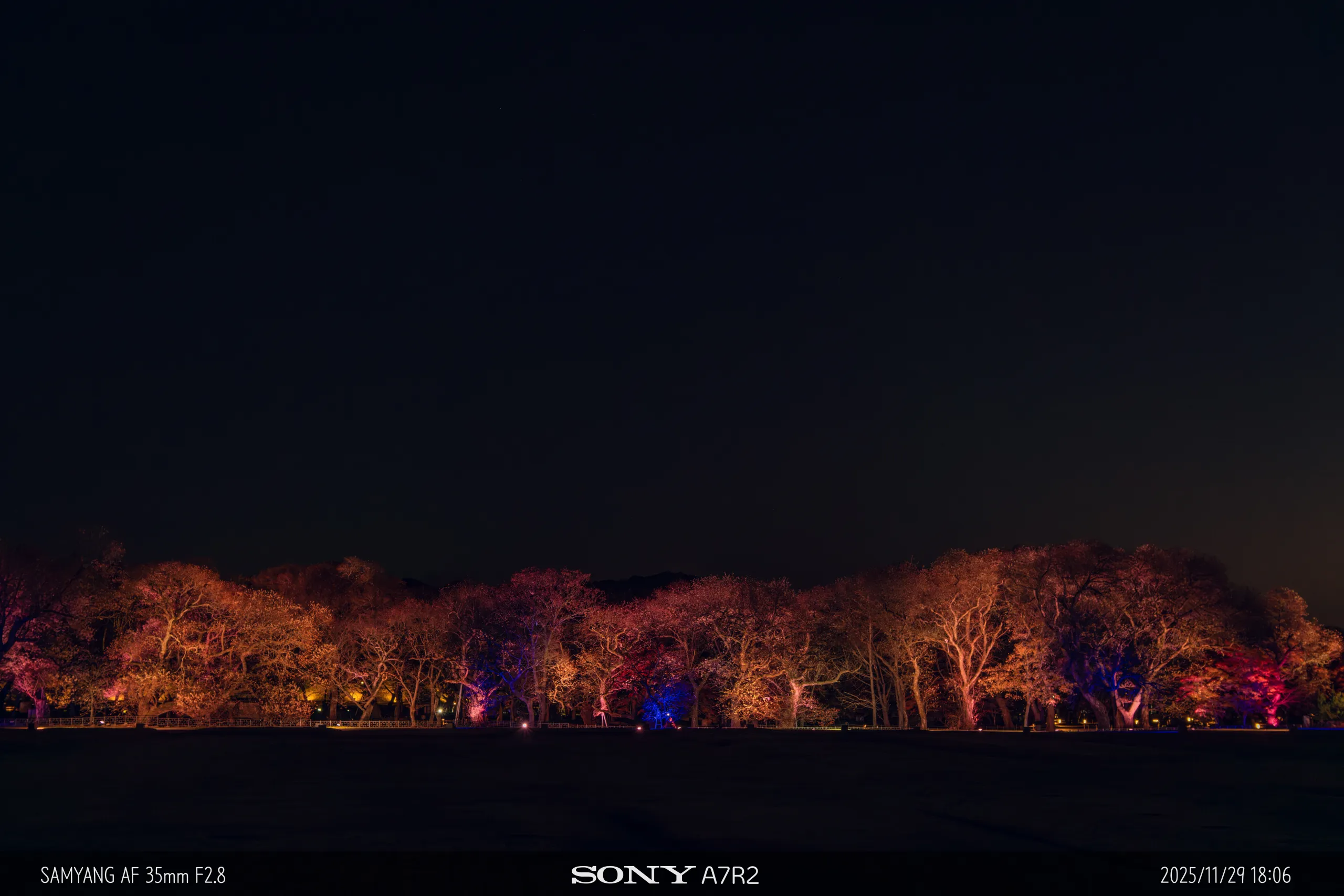20251129-09204.jpg.webp