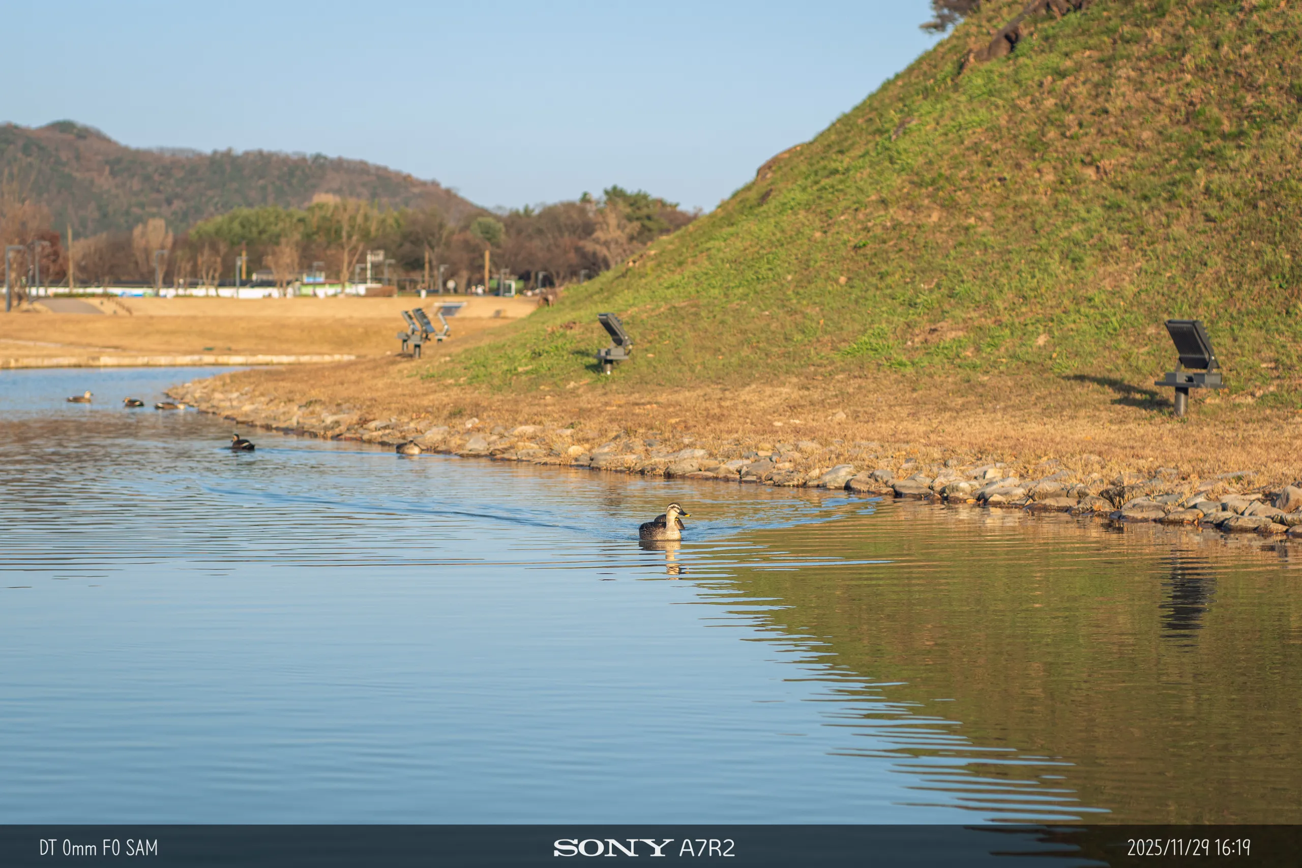 20251129-09091.jpg.webp