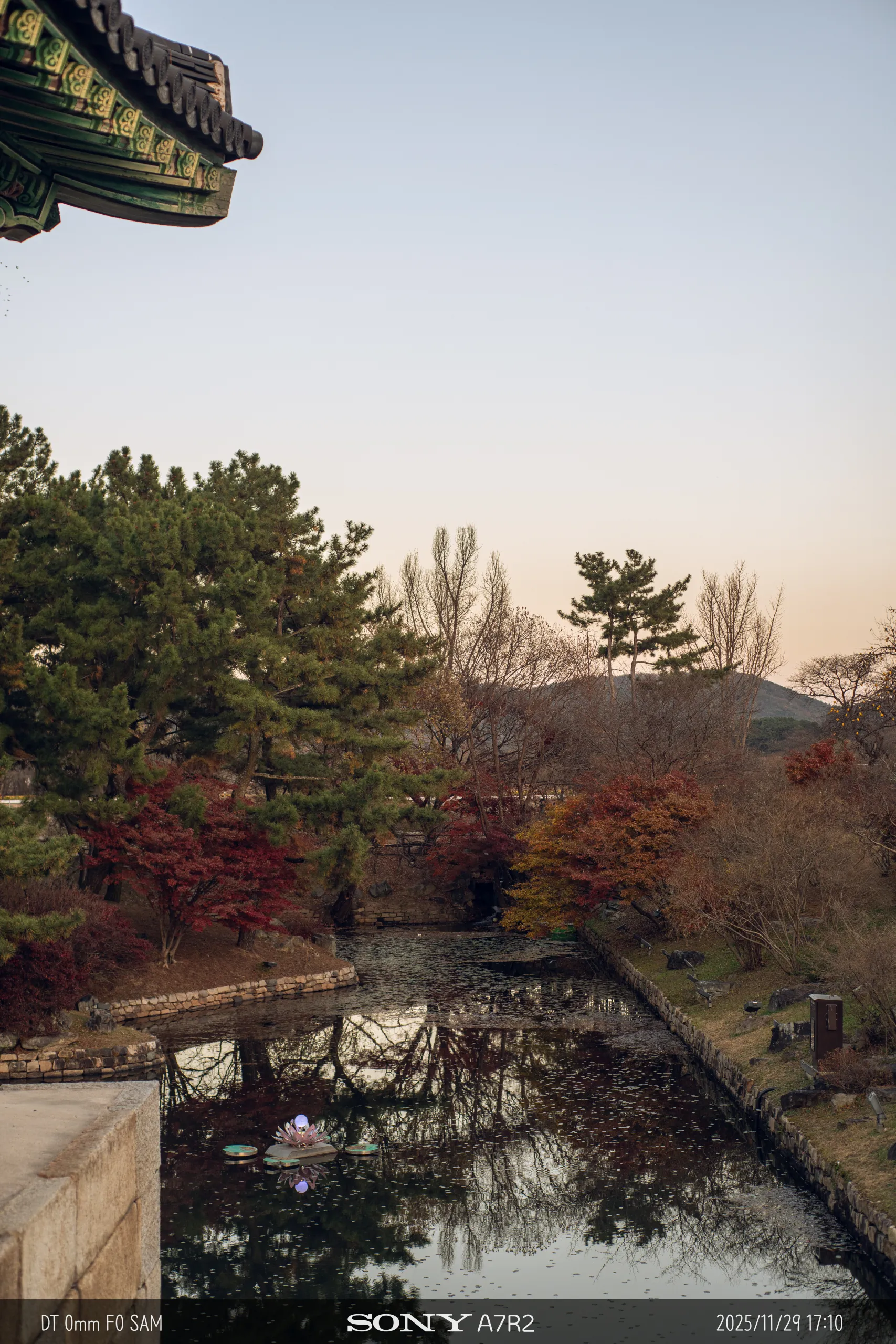20251129-09124.jpg.webp