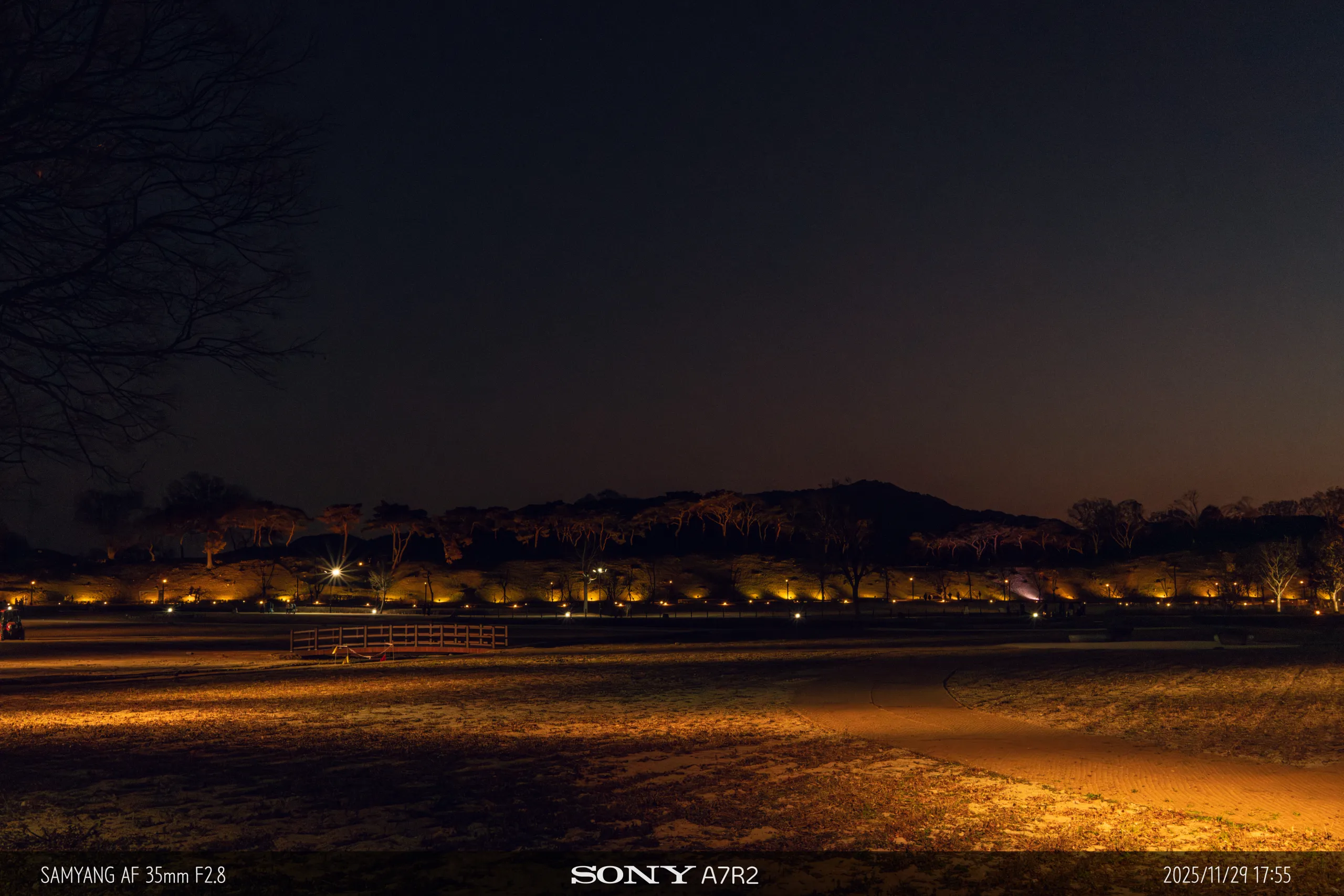 20251129-09190.jpg.webp