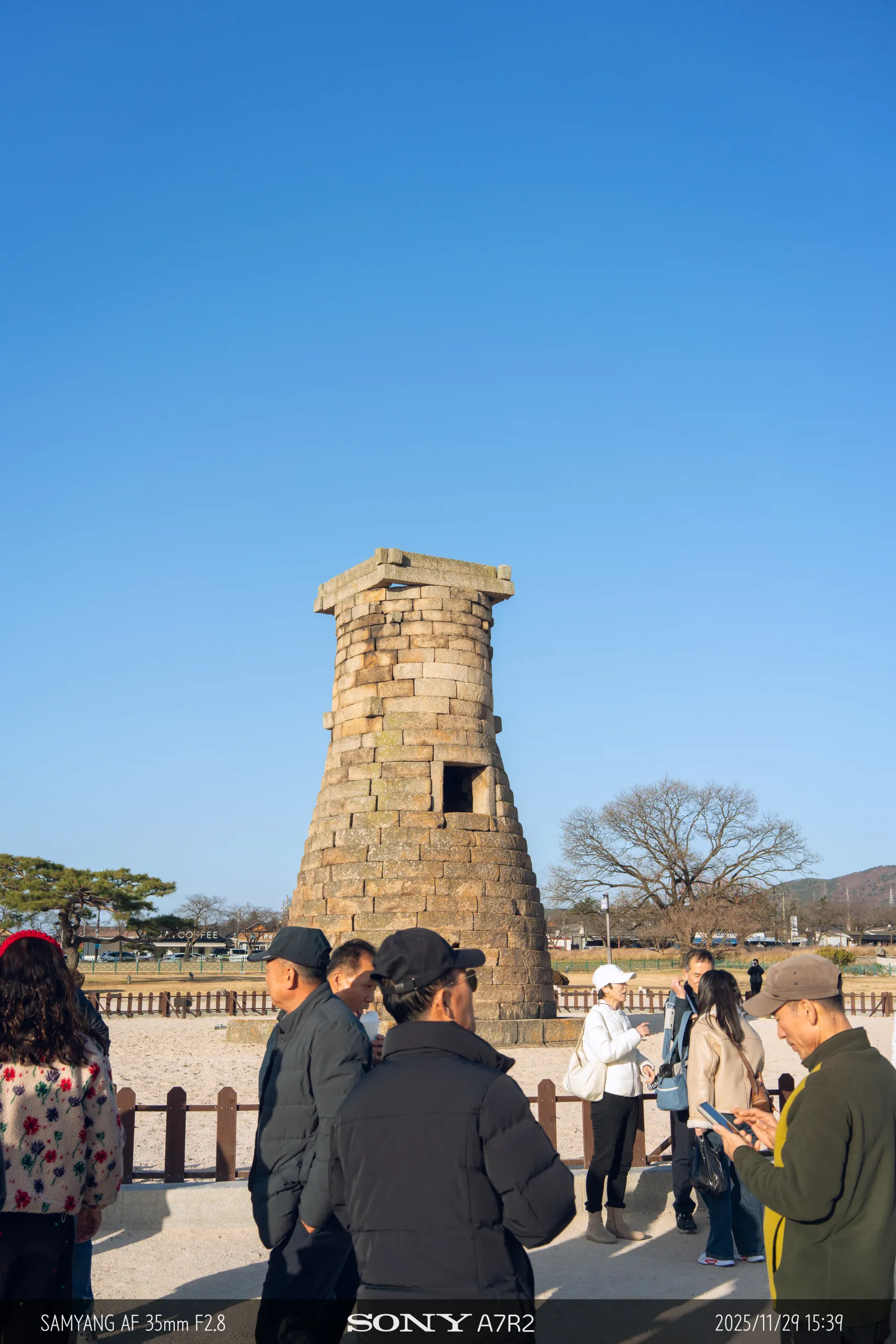 20251129-09060.jpg.webp