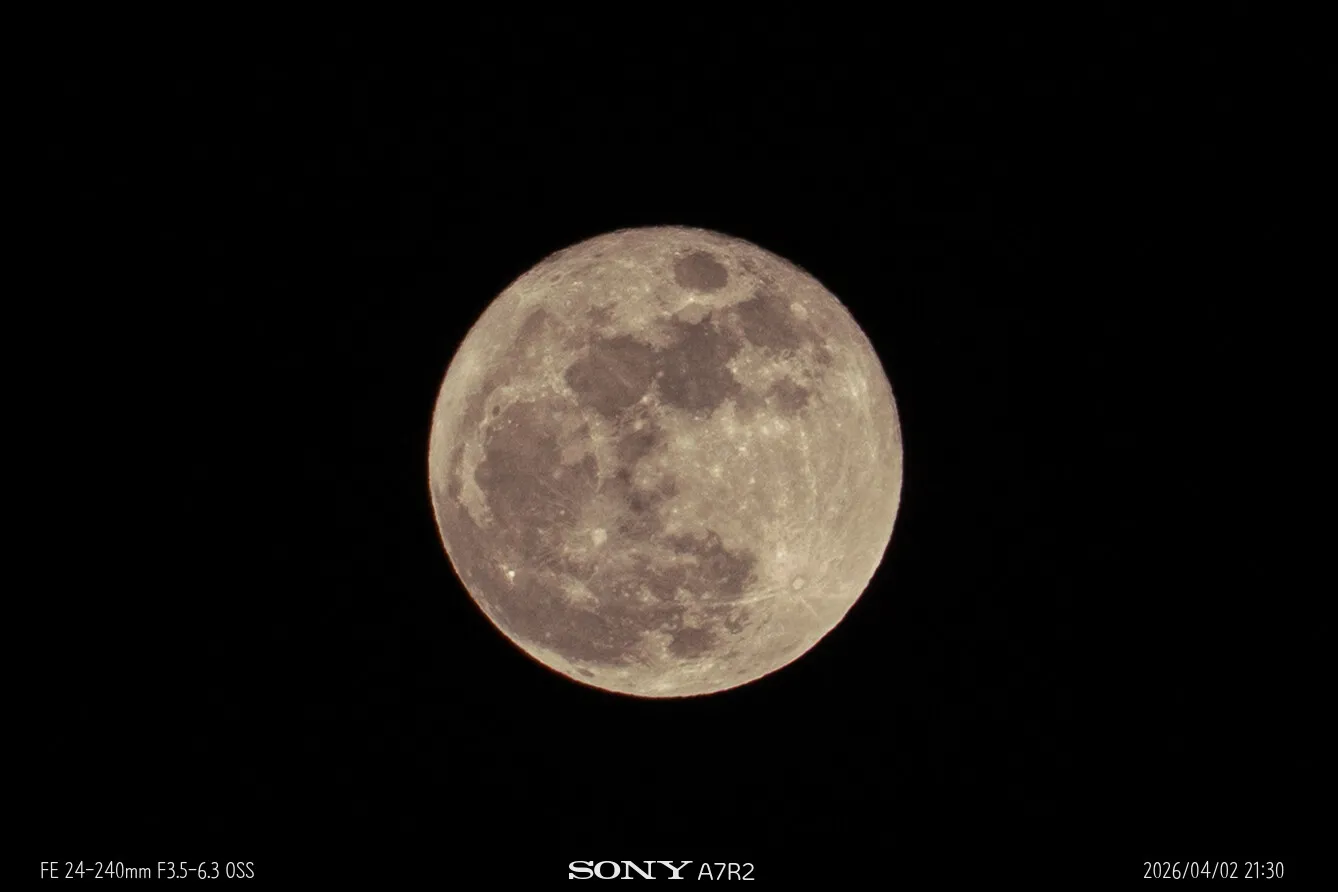 20260402-09241.jpg.webp