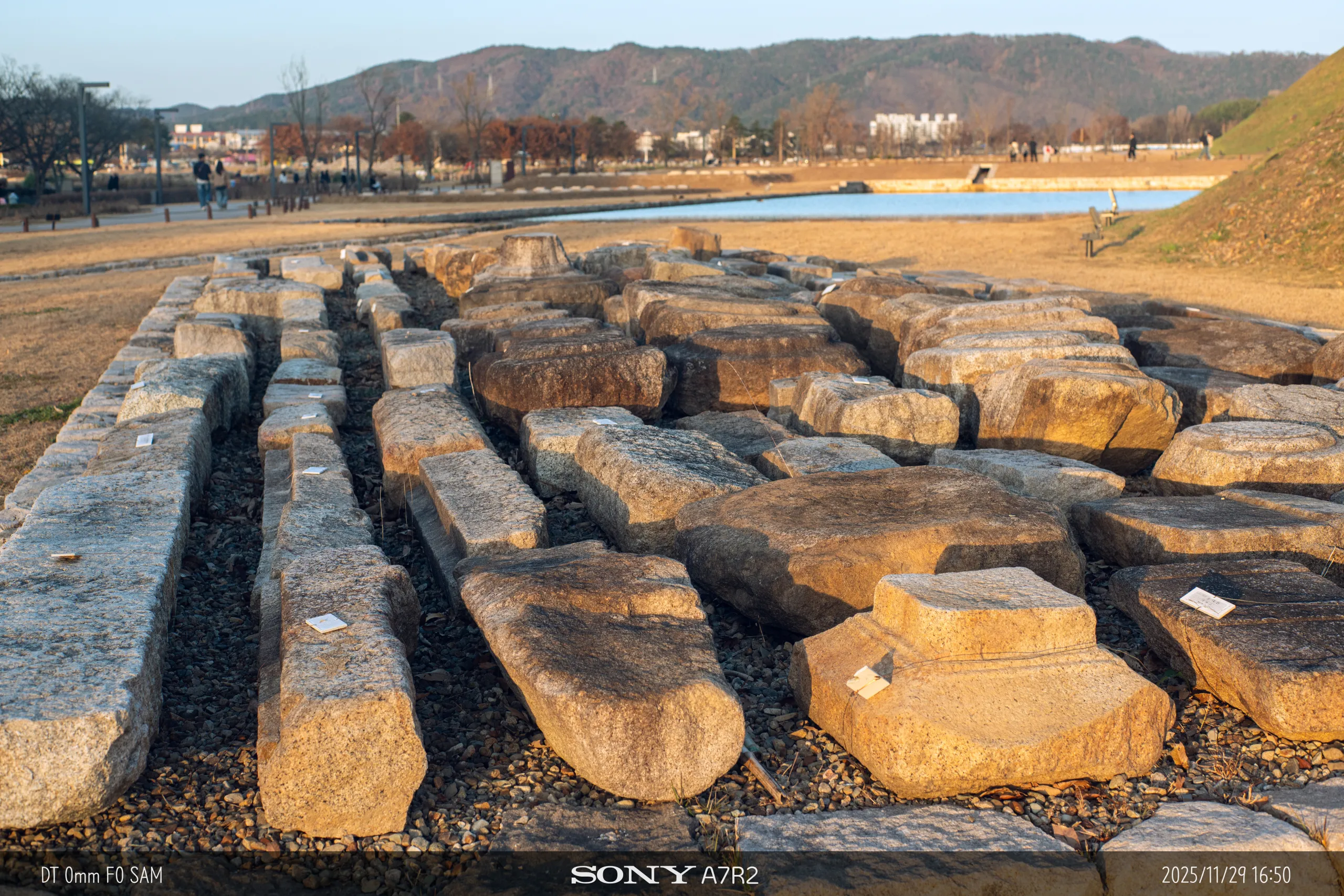 20251129-09116.jpg.webp