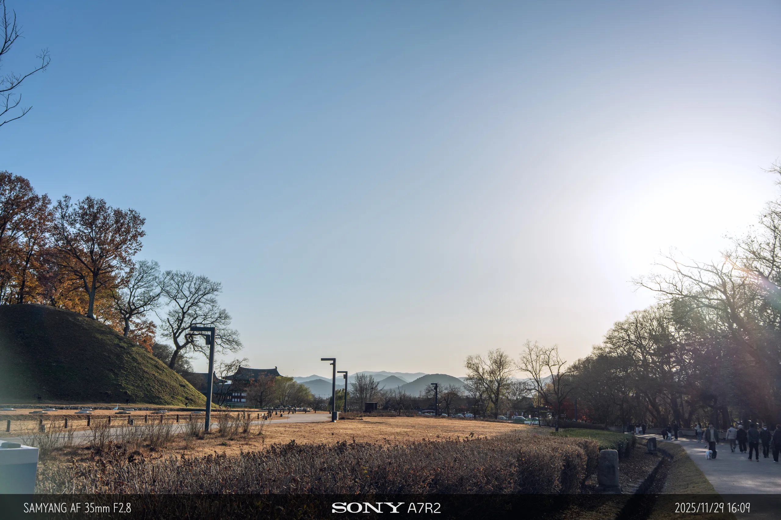 20251129-09081.jpg.webp