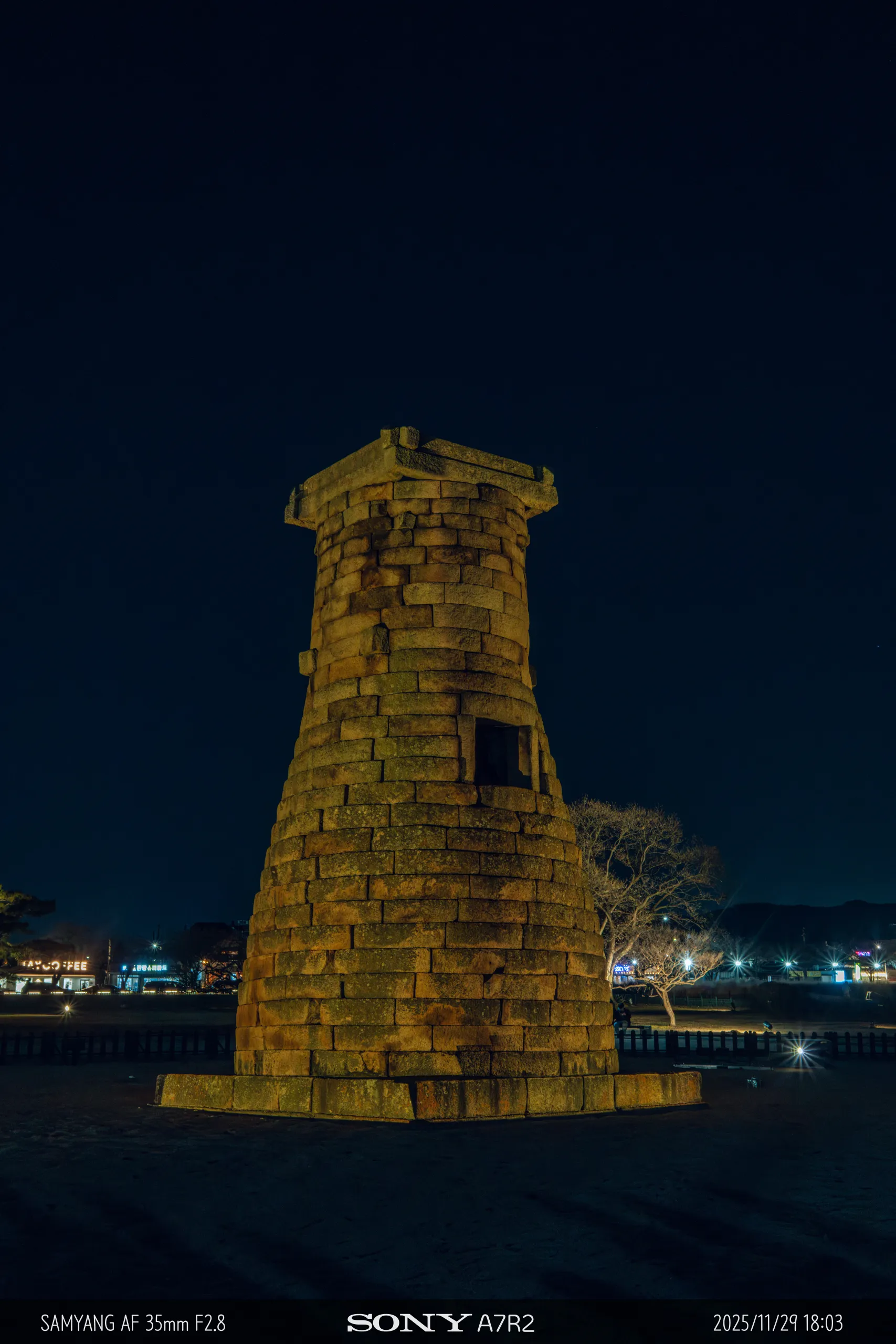 20251129-09198.jpg.webp