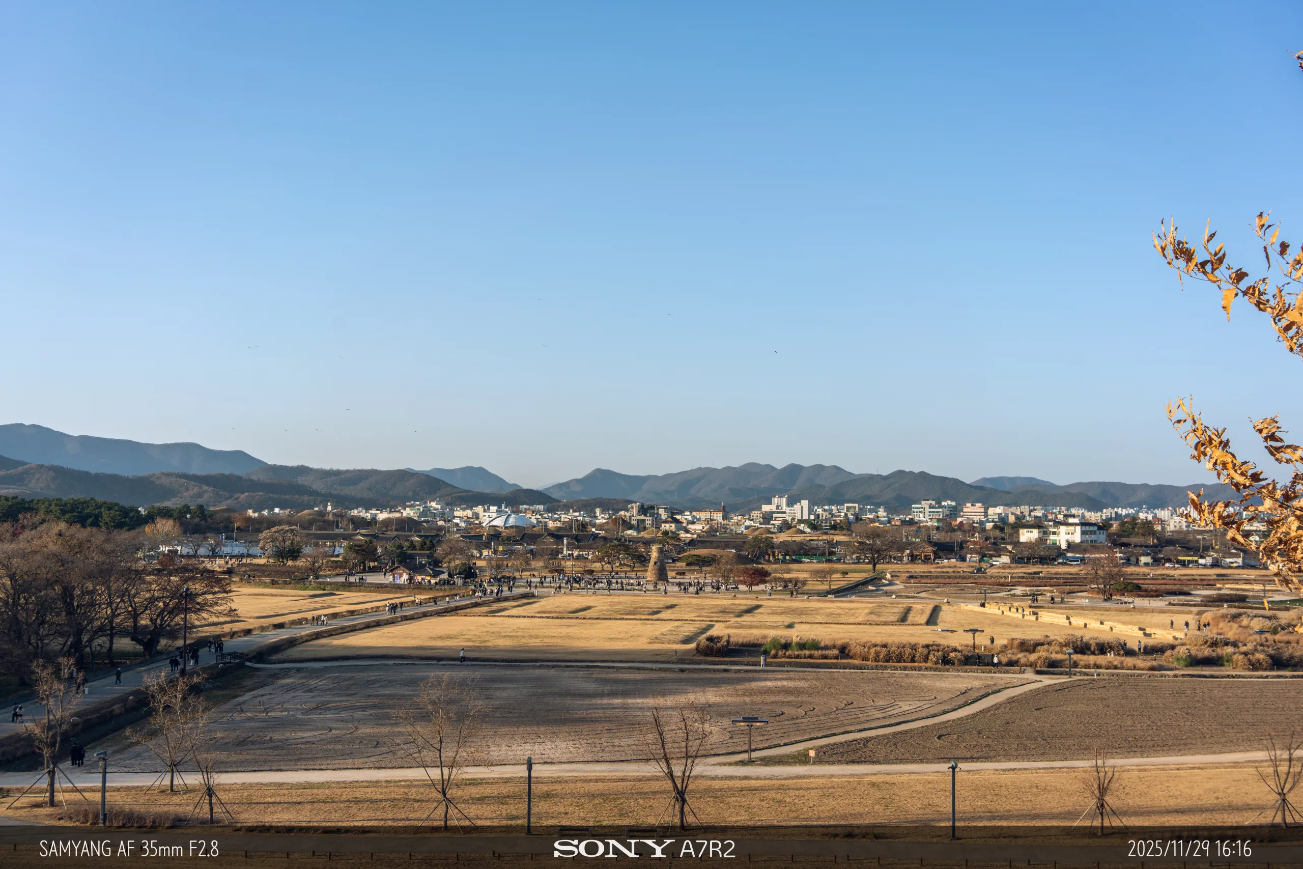 20251129-09087.jpg.webp
