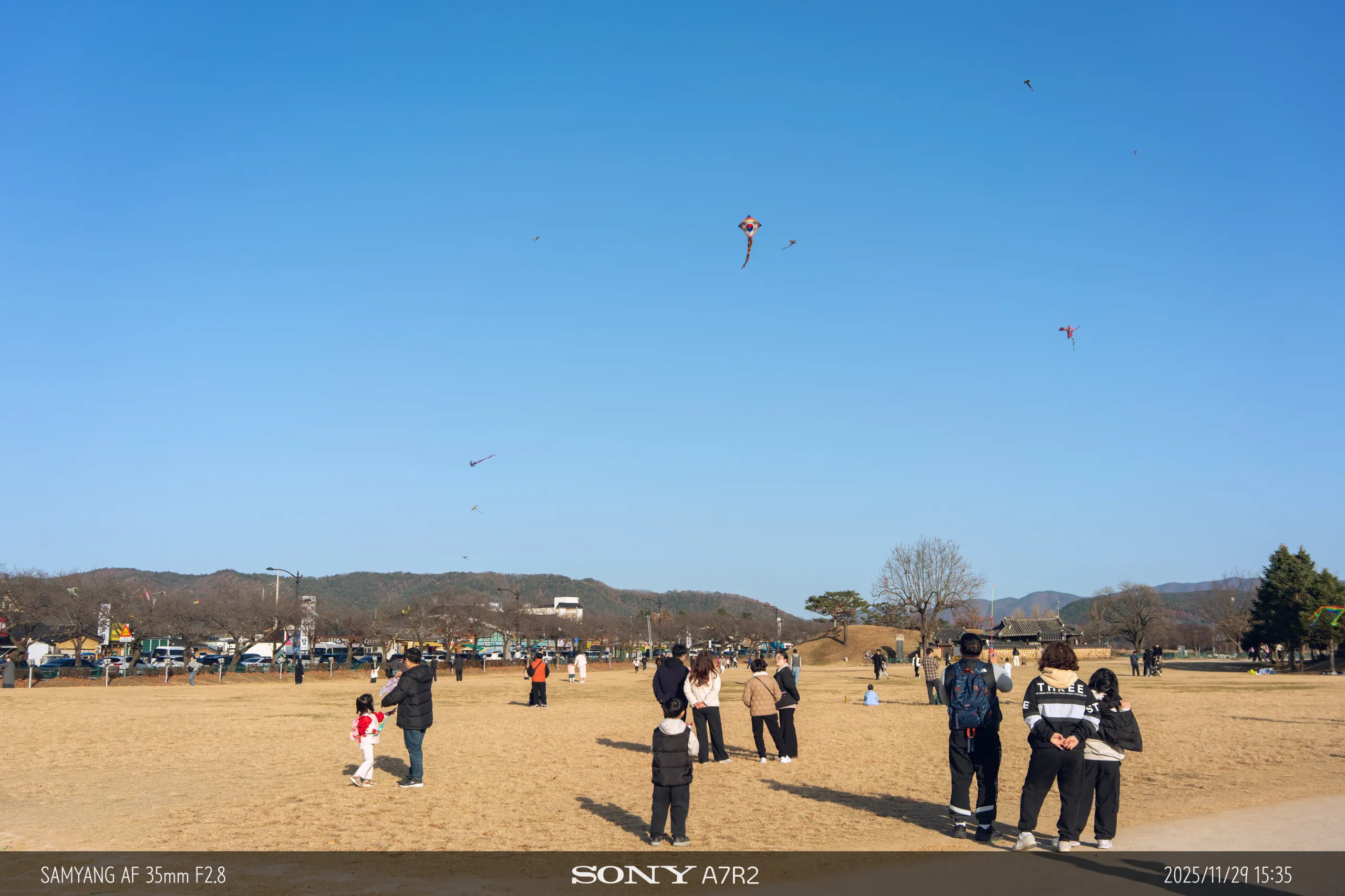 20251129-09055.jpg.webp