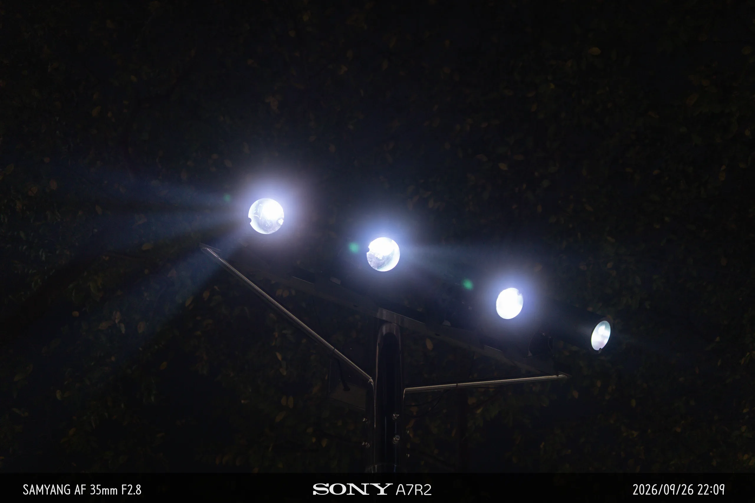 DSC09841.jpg.webp