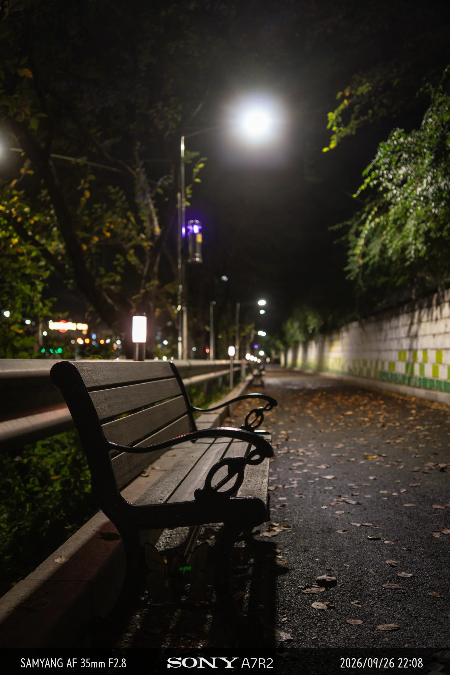 DSC09837.jpg.webp