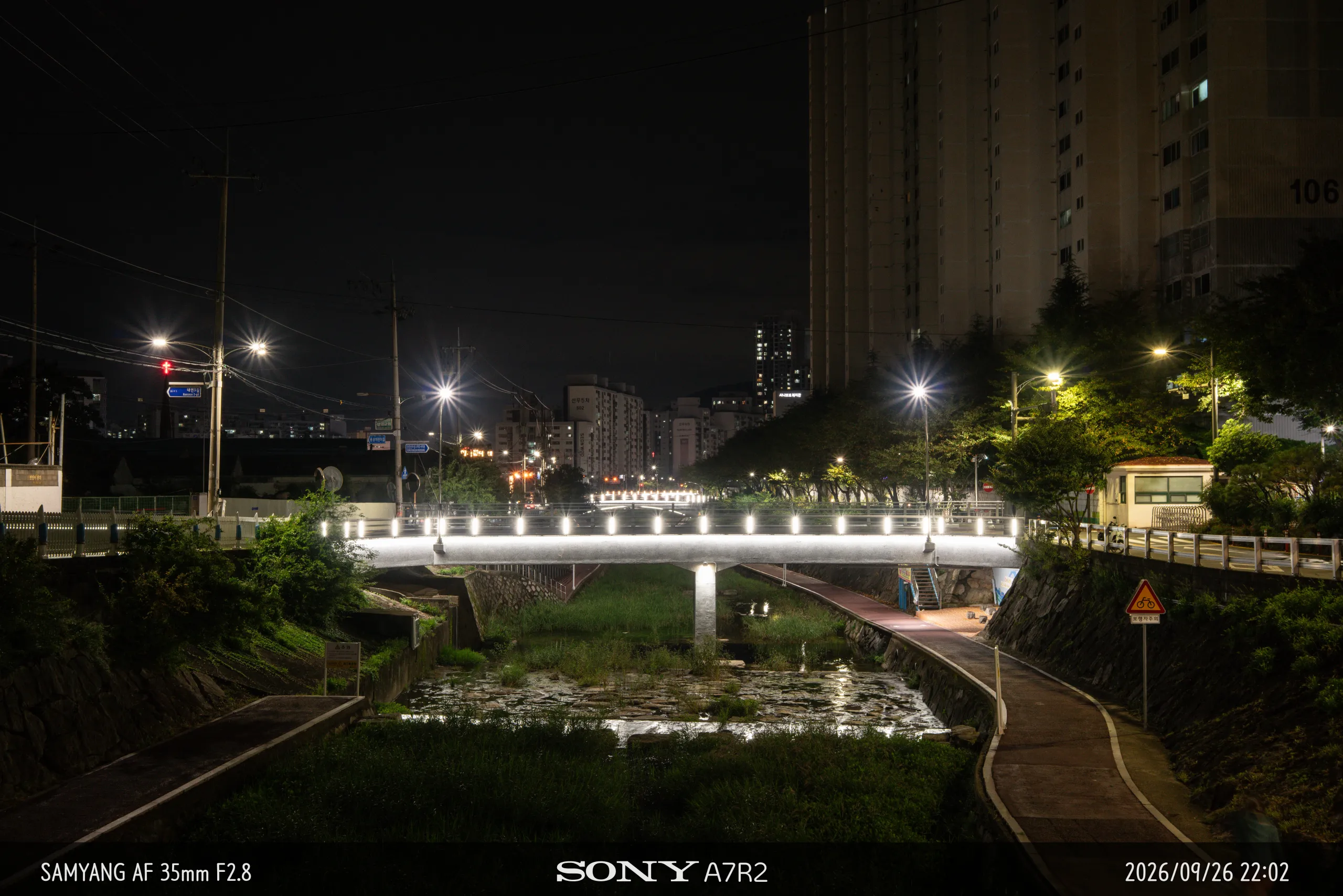 DSC09827.jpg.webp