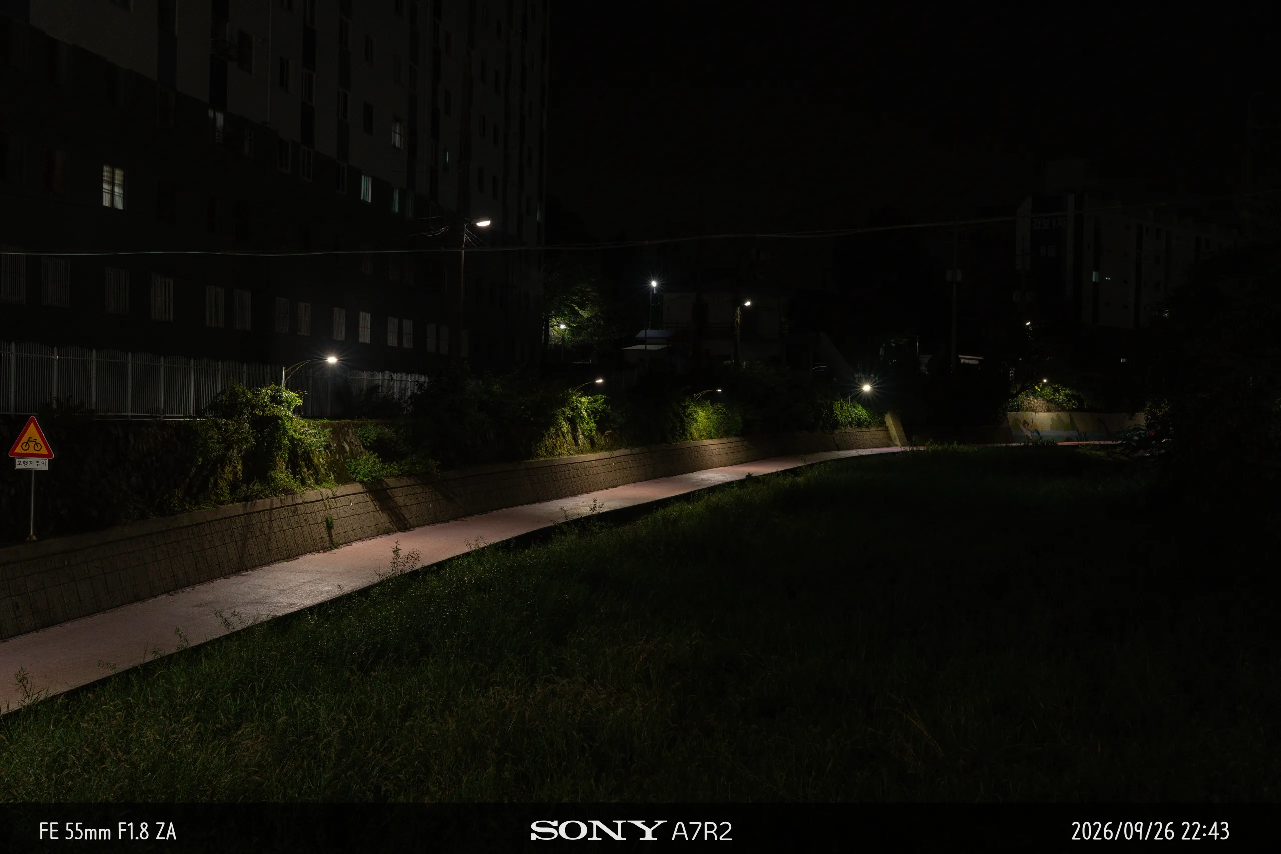 DSC09868.jpg.webp