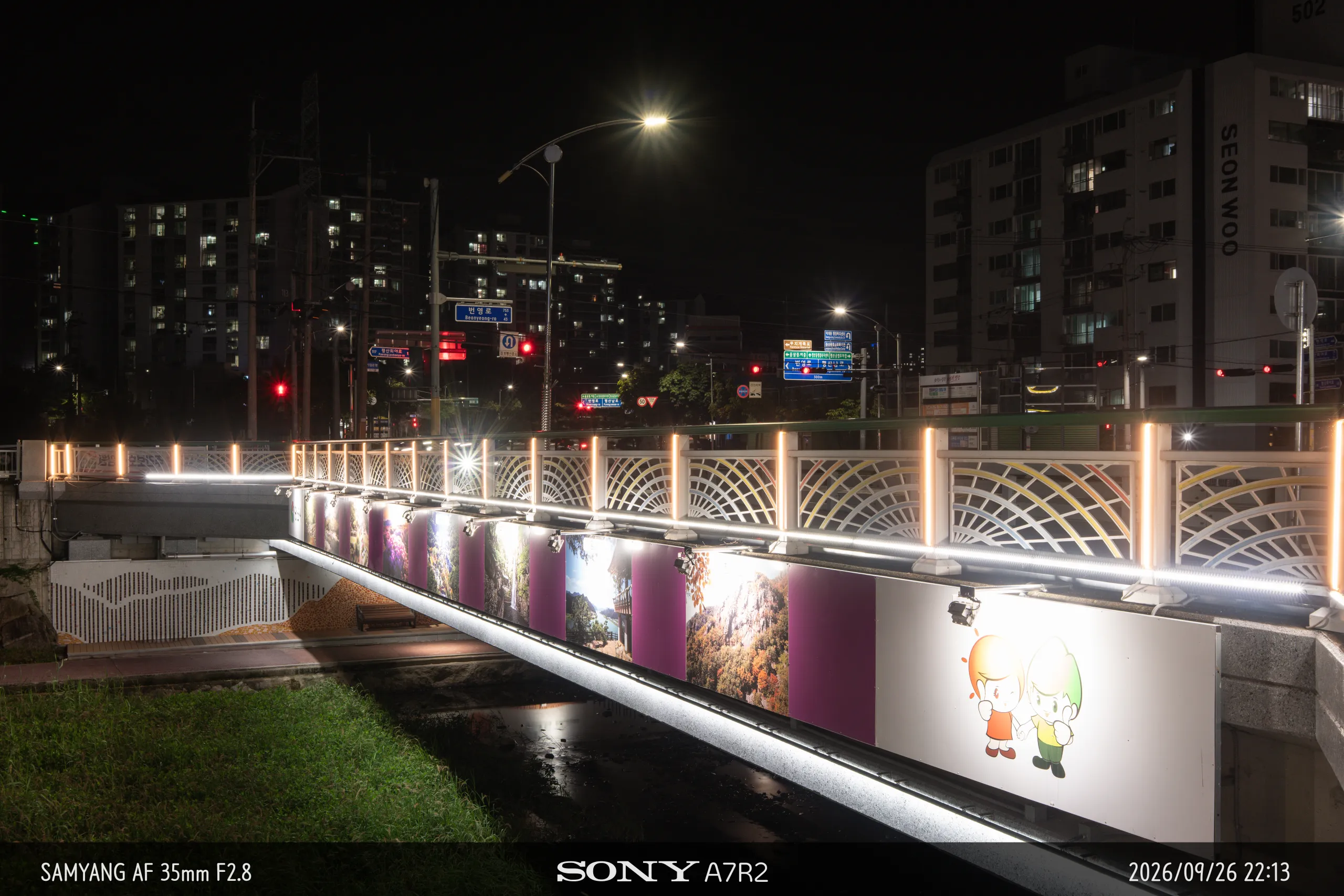 DSC09843.jpg.webp