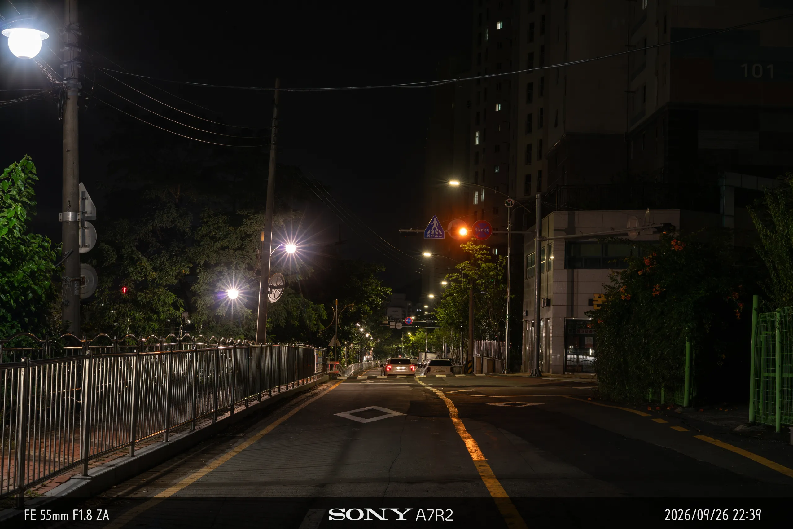 DSC09860.jpg.webp