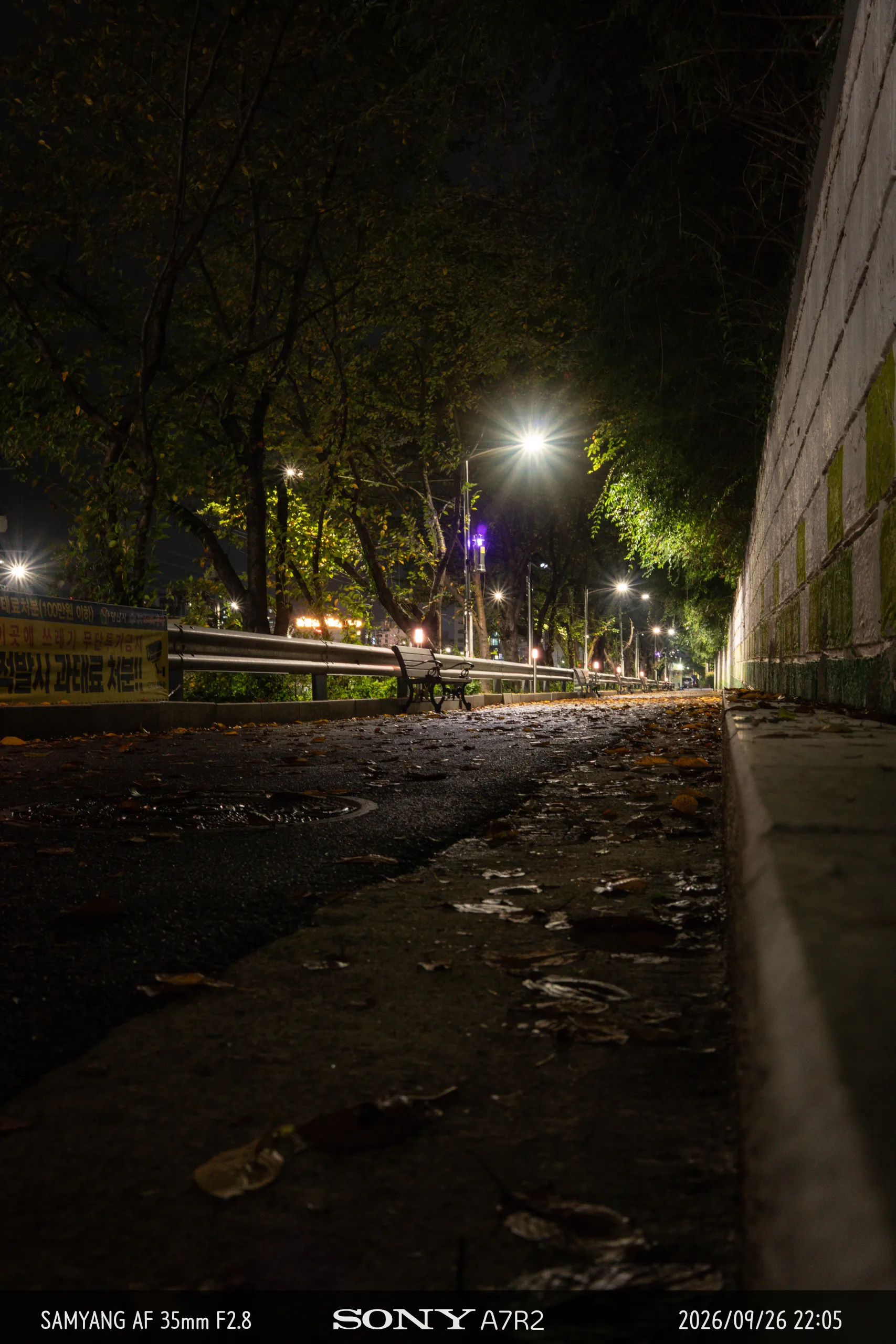 DSC09830.jpg.webp