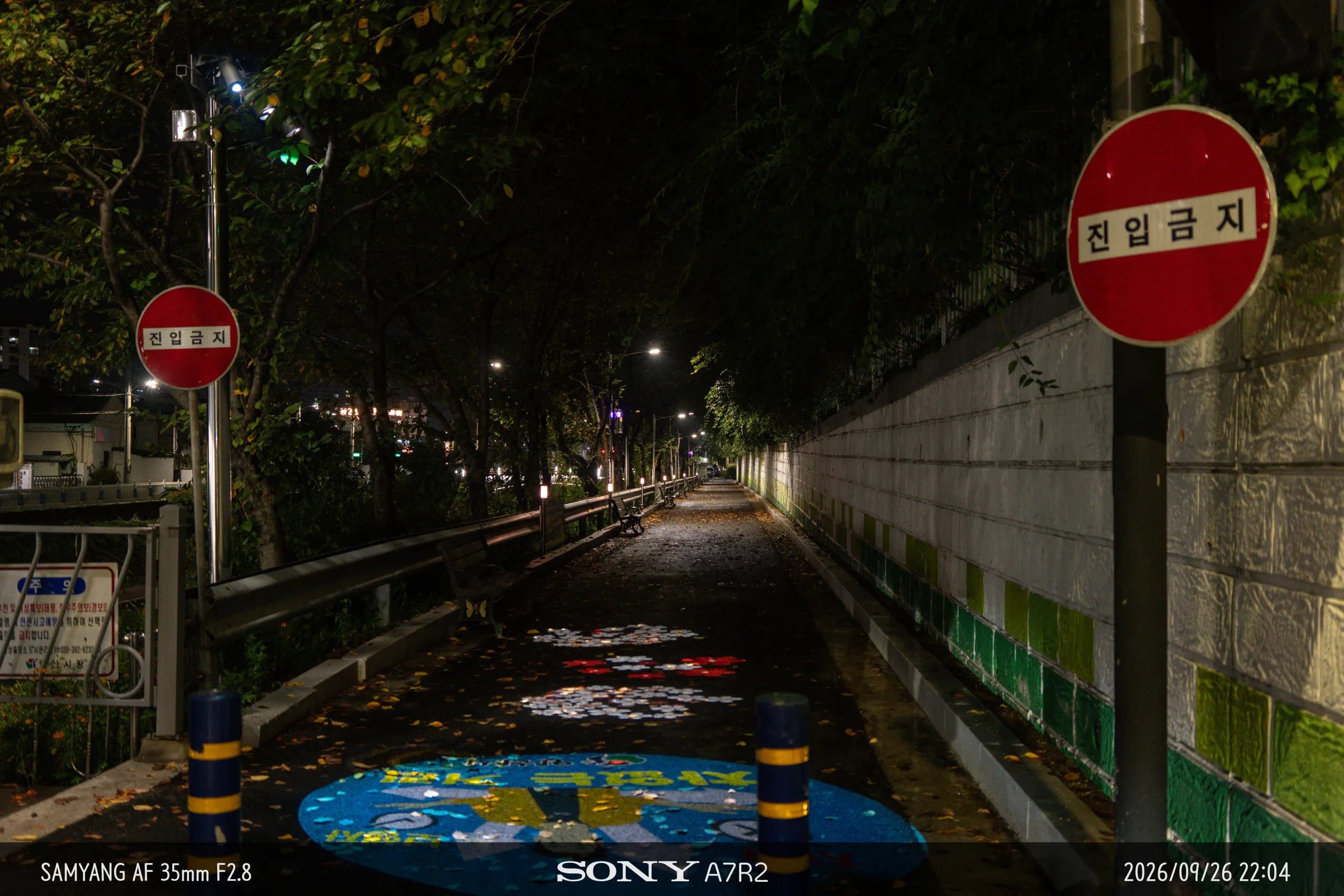 DSC09828.jpg.webp