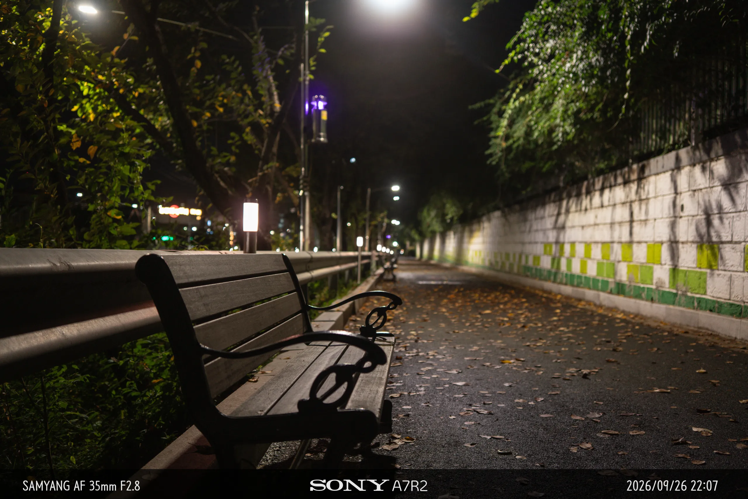 DSC09835.jpg.webp