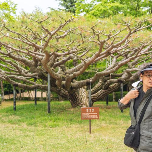 2025.05.05 불국사