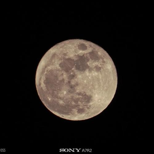 2026.04.02-핑크문