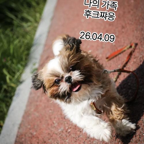 말년에 고생했어