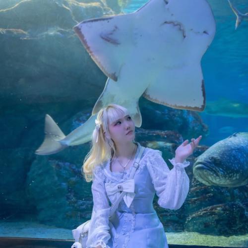 씨라이프, 부산