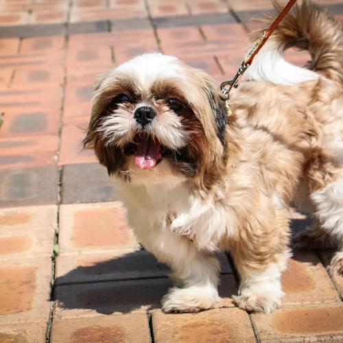 후크쨔응 2014.05.06