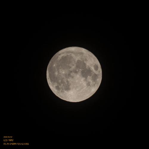 새벽달