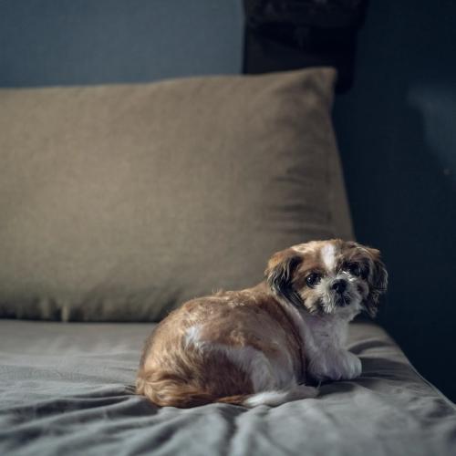 후크쨔응 2025.05.28