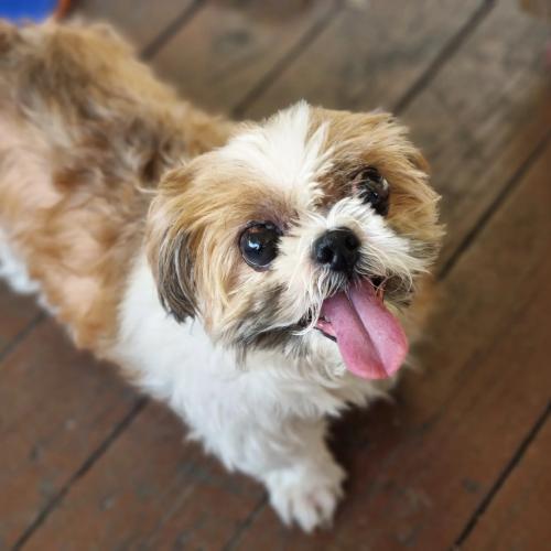 후크쨔응 2025.08.02