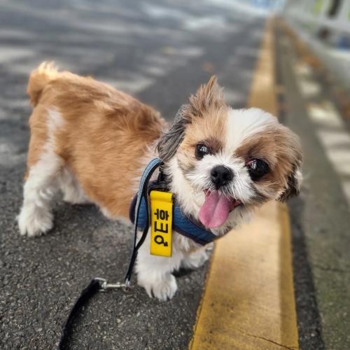 후크쨔응 2024.09.29