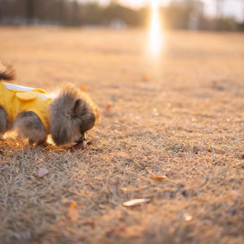 칸초쨔응 2024.12.28